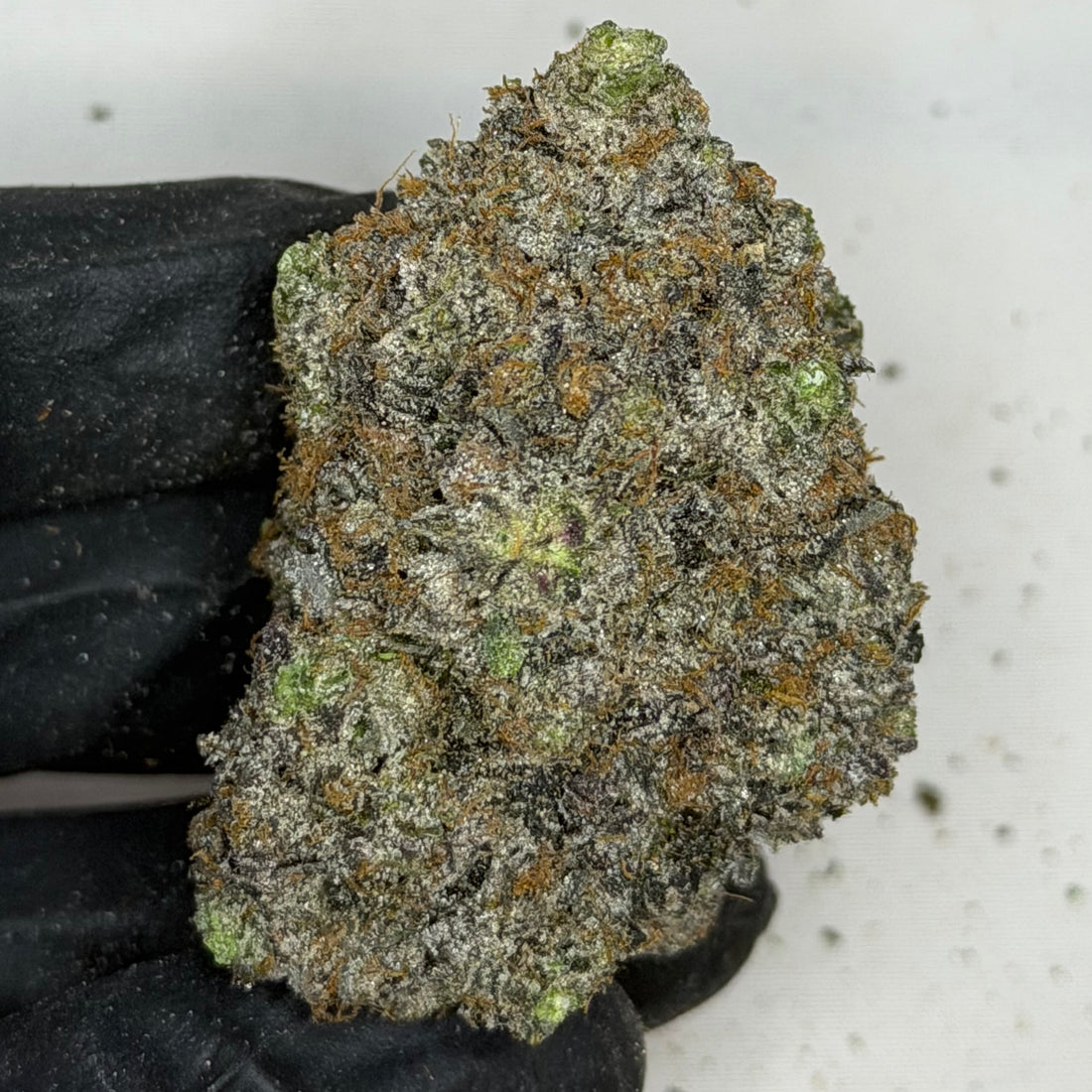 Pink Competition rare super quads AAAA+ Indica – 42% THC, ultra frosty gas buds, premium weed delivery Toronto