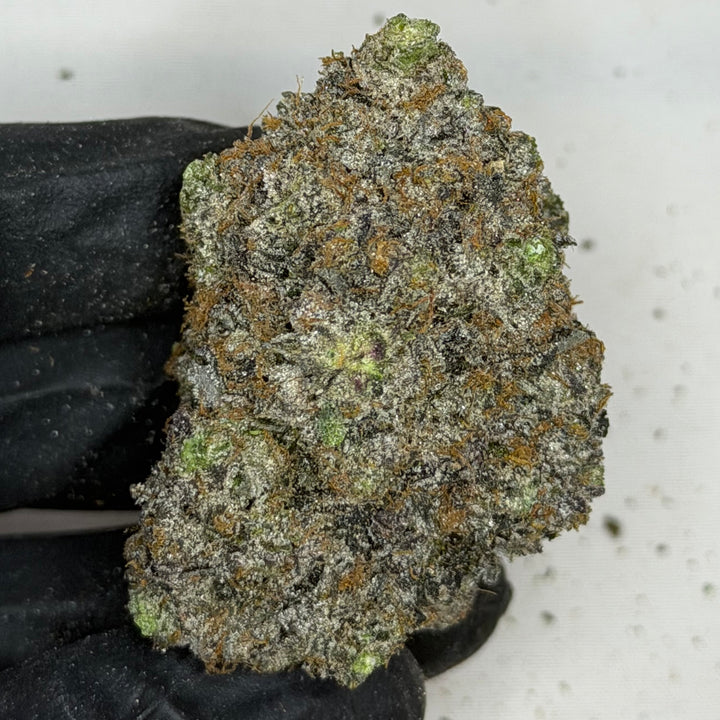 Pink Competition rare super quads AAAA+ Indica – 42% THC, ultra frosty gas buds, premium weed delivery Toronto