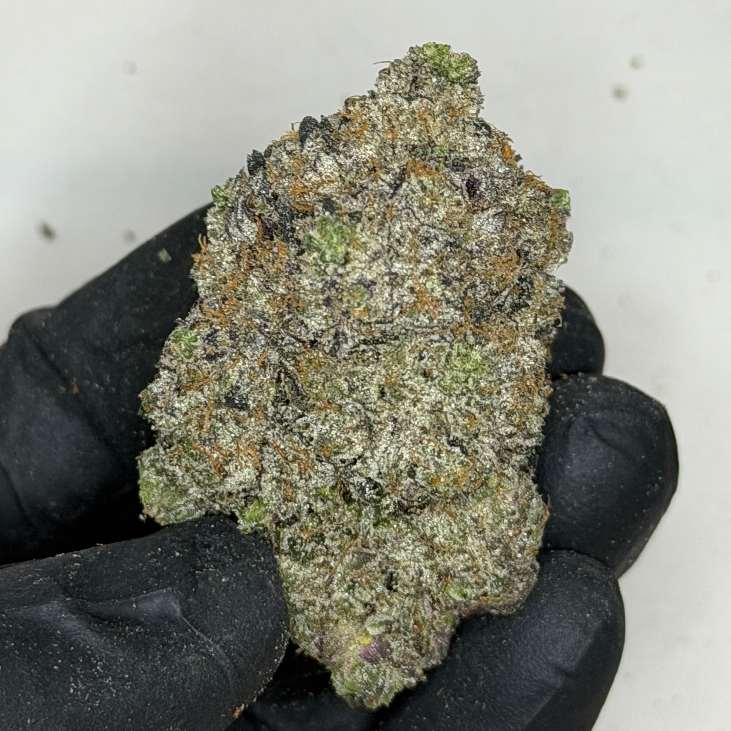 Pink Competition rare super quads Indica 42% THC – dense frosty buds, heavy gas strain, Toronto weed delivery