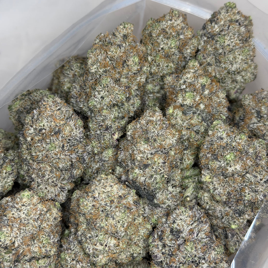 Pink Competition rare super quads Indica – extreme trichome coverage, exotic gas strain 42% THC
