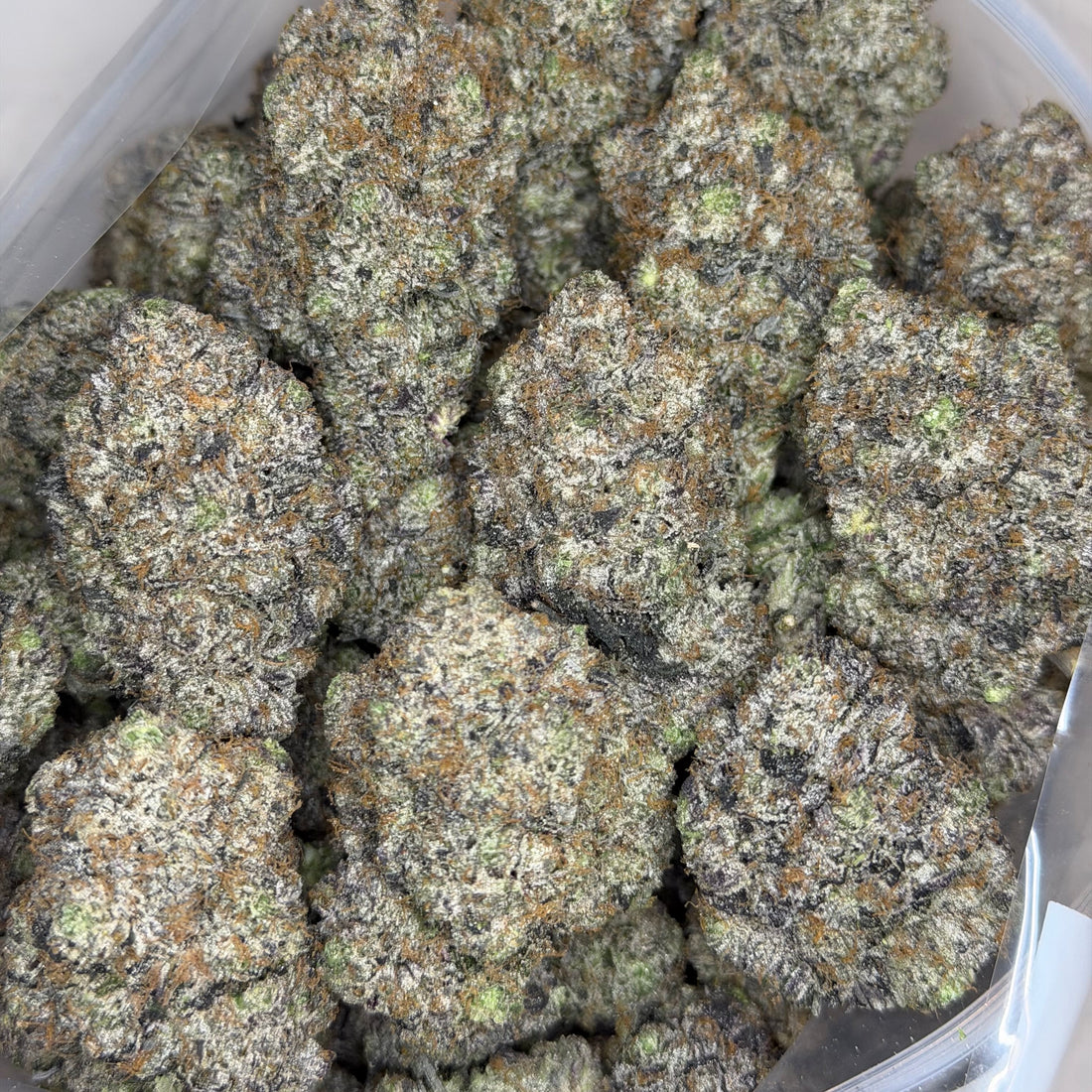 Pink Competition rare super quads flower – heavy gas Indica 42% THC, premium Toronto weed