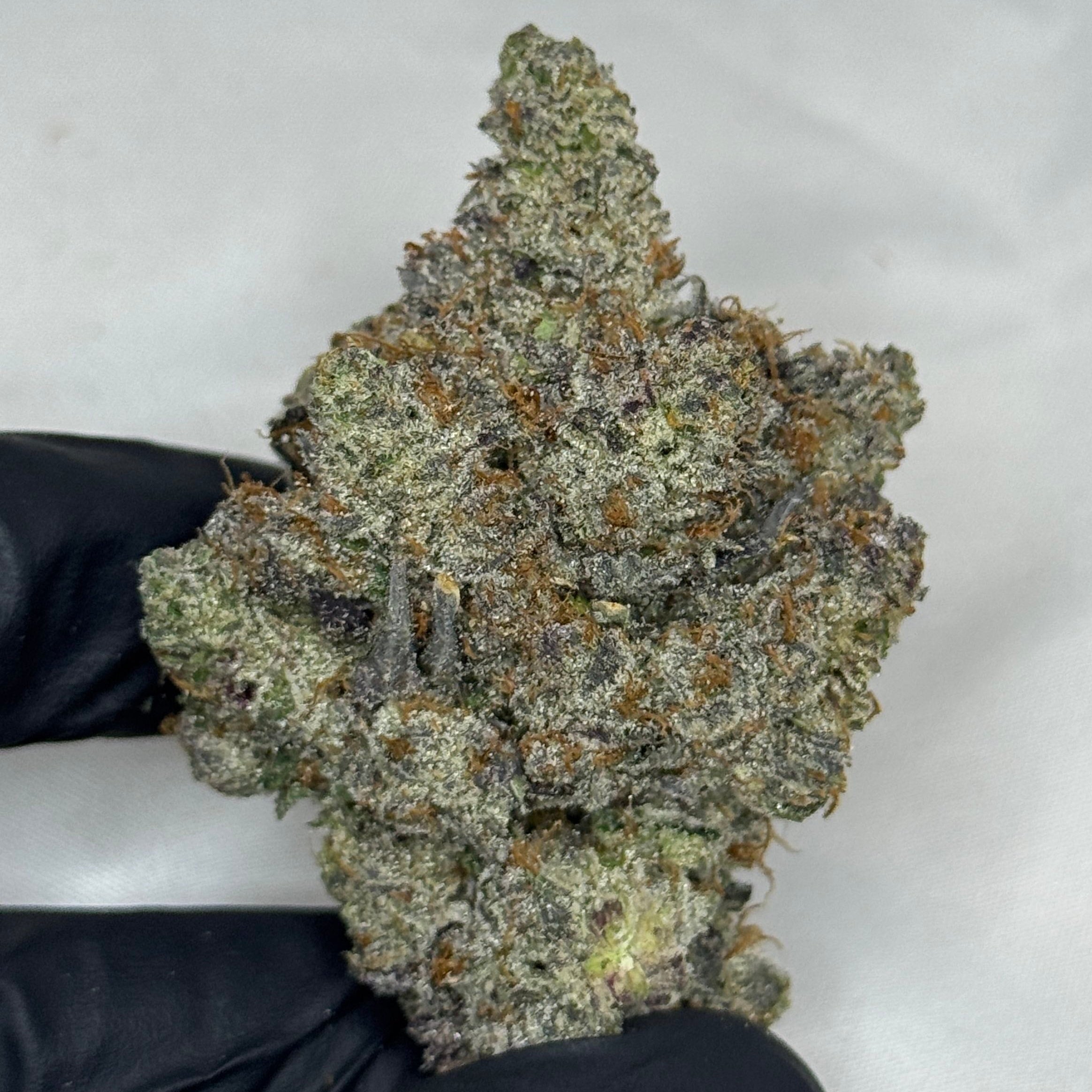 Pink Corleone strain AAAAA Indica – 42% THC monster bud with purple hues and heavy trichomes – weed delivery Scarborough