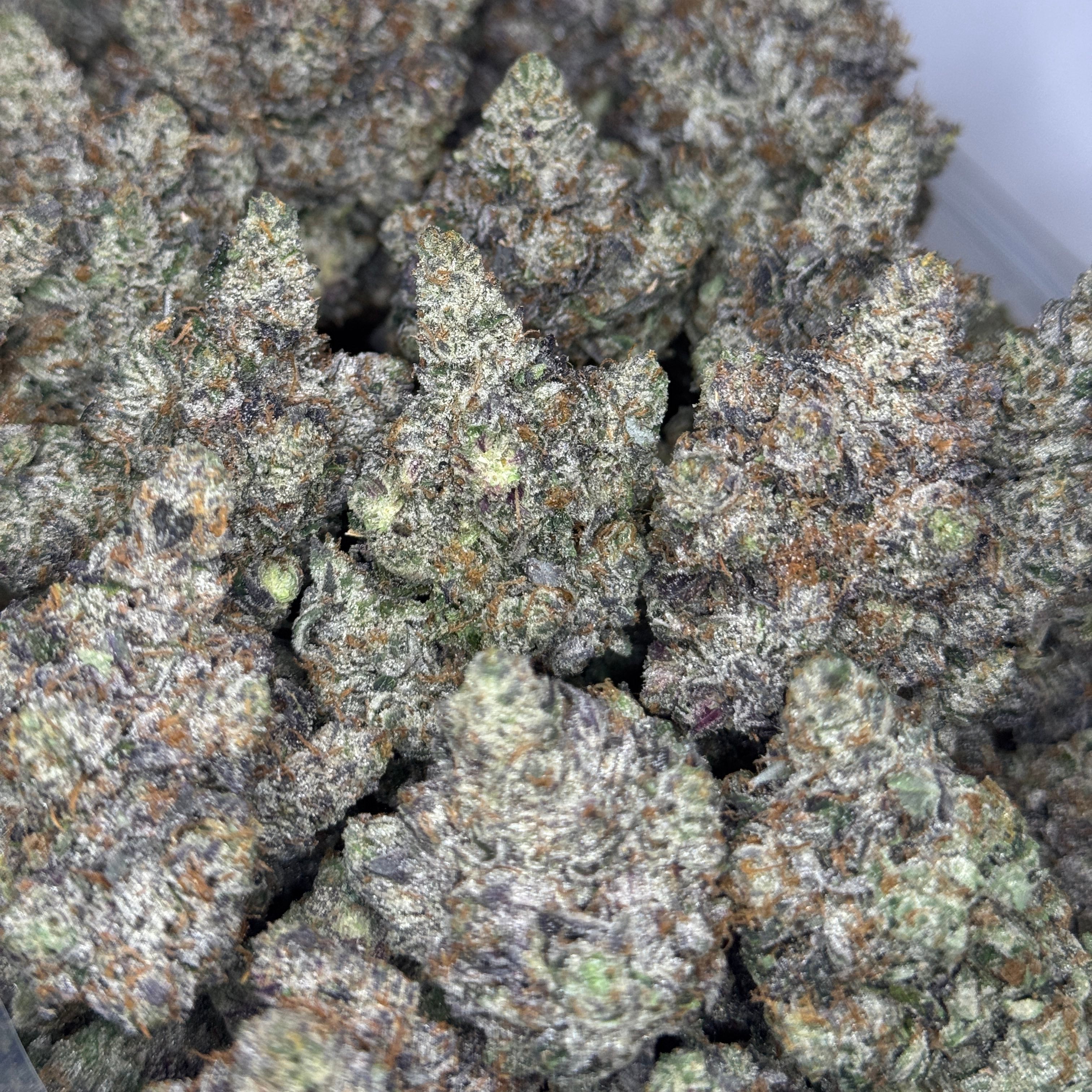 Pink Corleone AAAAA Indica flower – dense purple buds coated in trichomes, available for same-day weed delivery in Scarborough