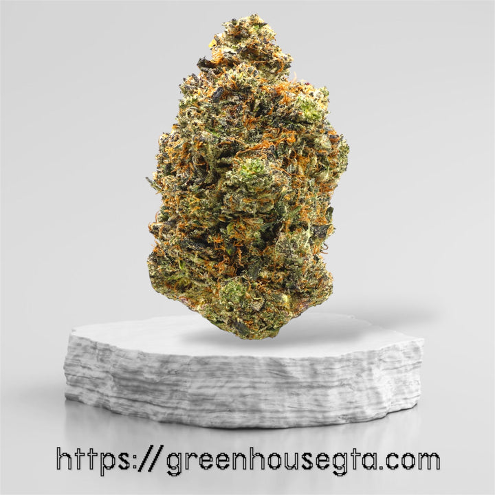 Pink Diablo Indica 32% THC – Gassy Premium Weed – Buy Weed Online Toronto – GreenHouseGTA Delivery