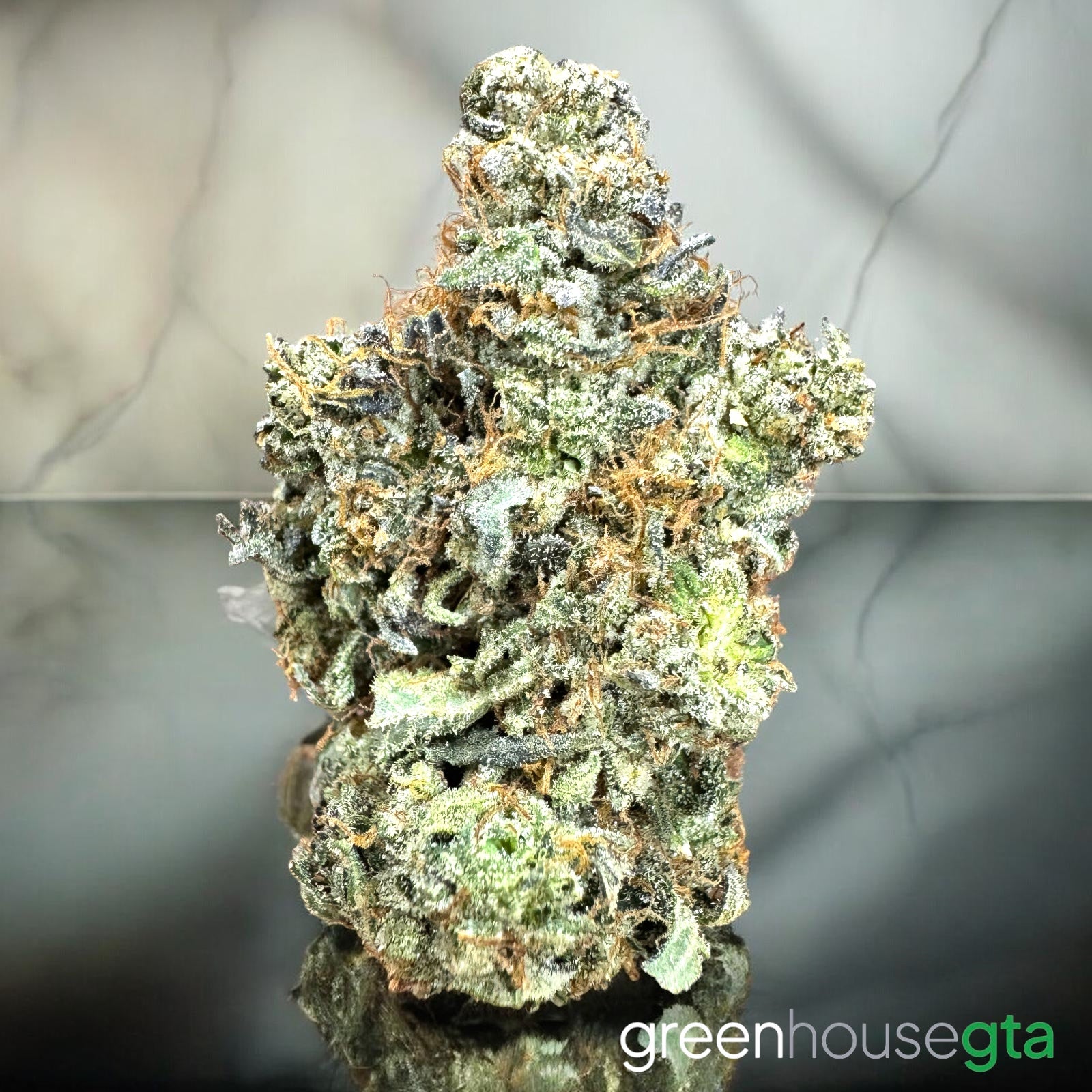 Pink Gremlin premium AAAA pink gas bud sticky trichomes Toronto weed delivery
