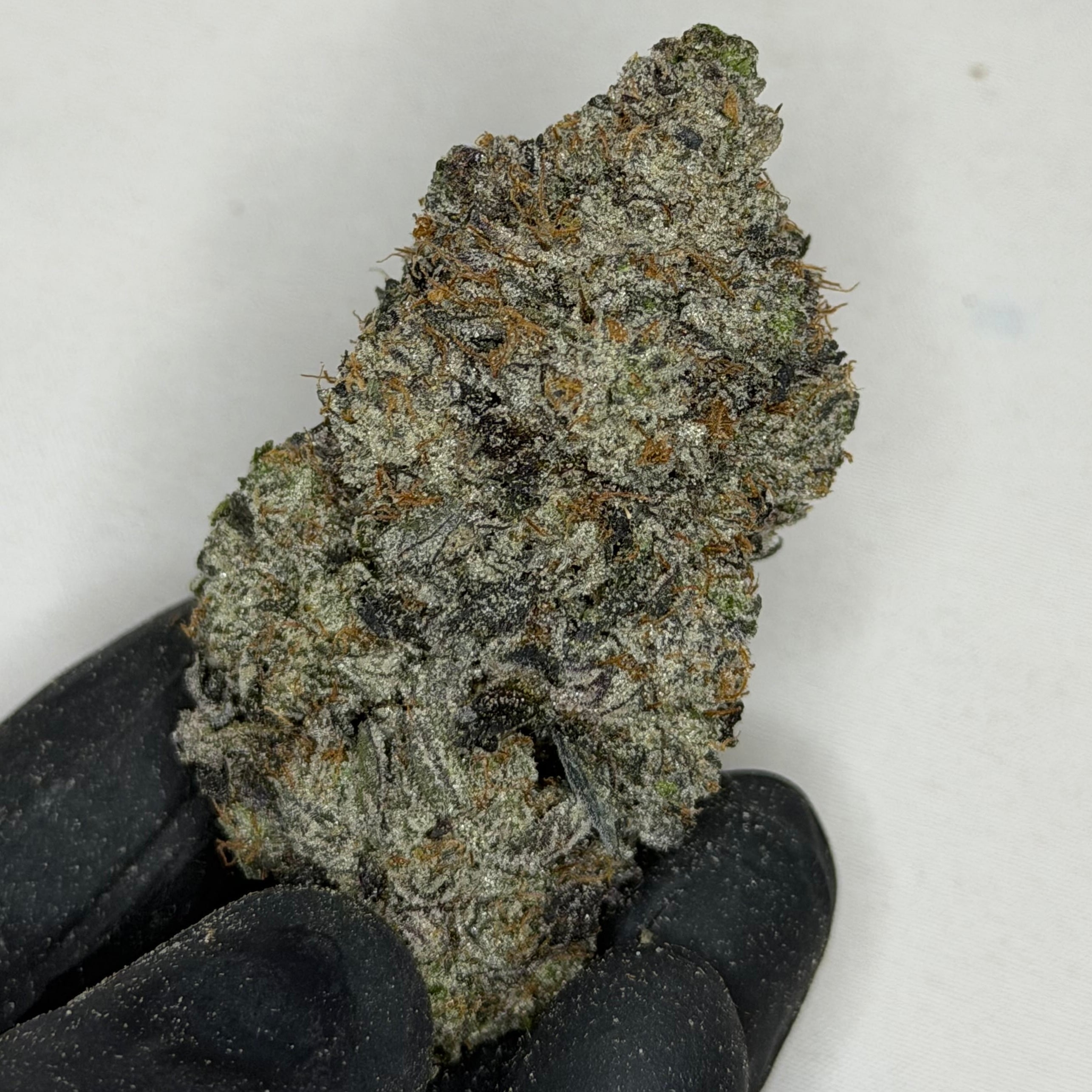 Pink Hennessy AAAAA indica strain 39% THC – sweet citrus lemon berry terp profile, top shelf weed Toronto