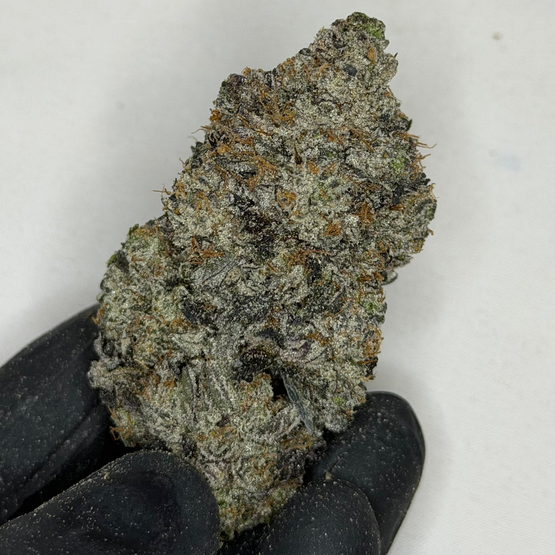 Pink Hennessy AAAAA indica strain 39% THC – sweet citrus lemon berry terp profile, top shelf weed Toronto