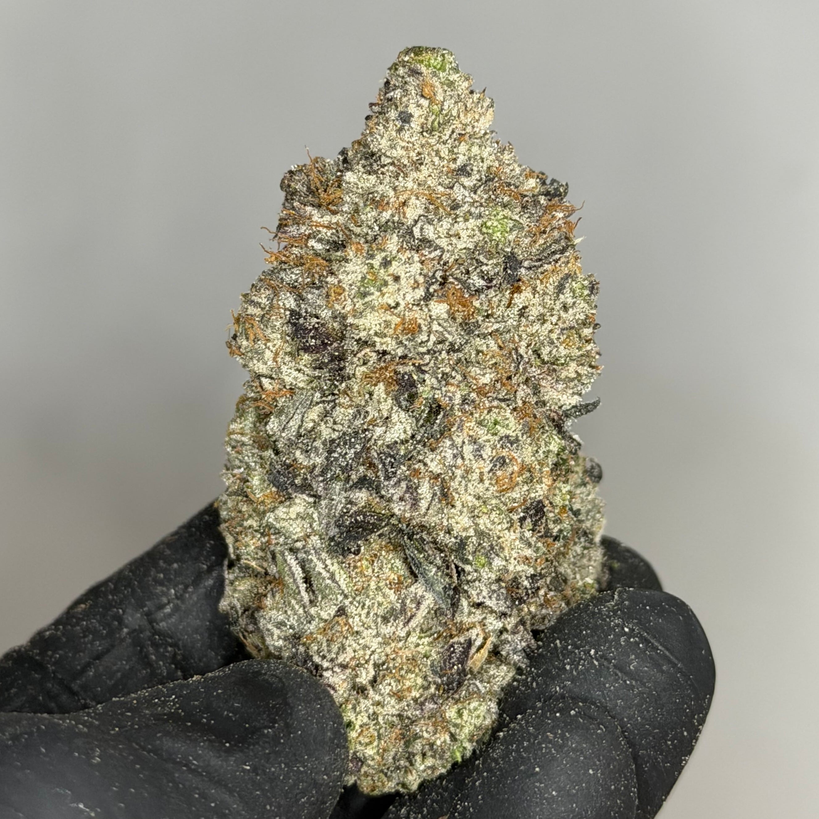 Pink Hennessy AAAAA cannabis flower 39% THC – dense crystal-coated nug, premium weed Toronto