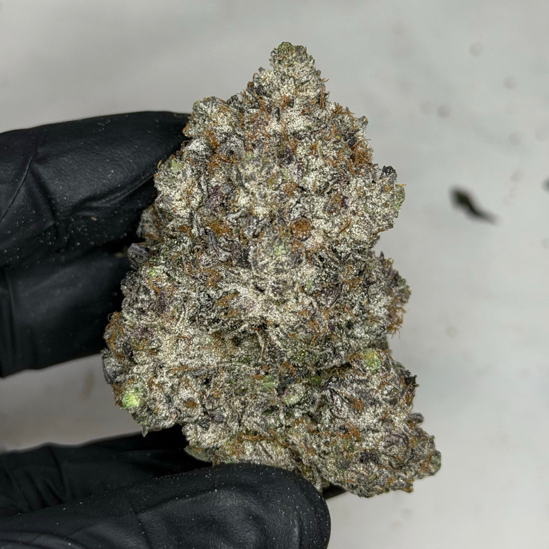 Pink Iceman AAAAA Indica heavy purple gas flower weed delivery Toronto