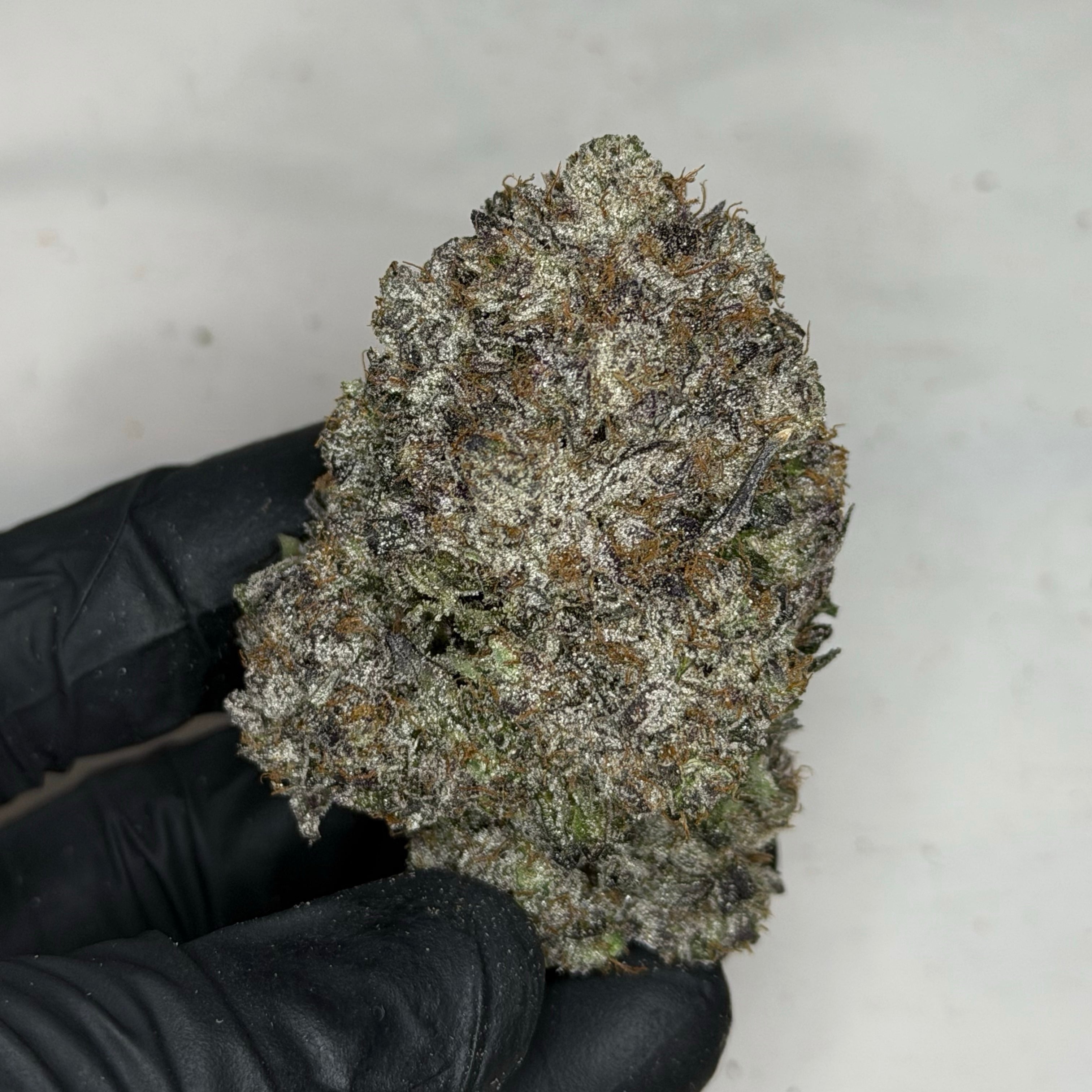 Pink Iceman AAAAA premium purple gas bud same day weed delivery Toronto