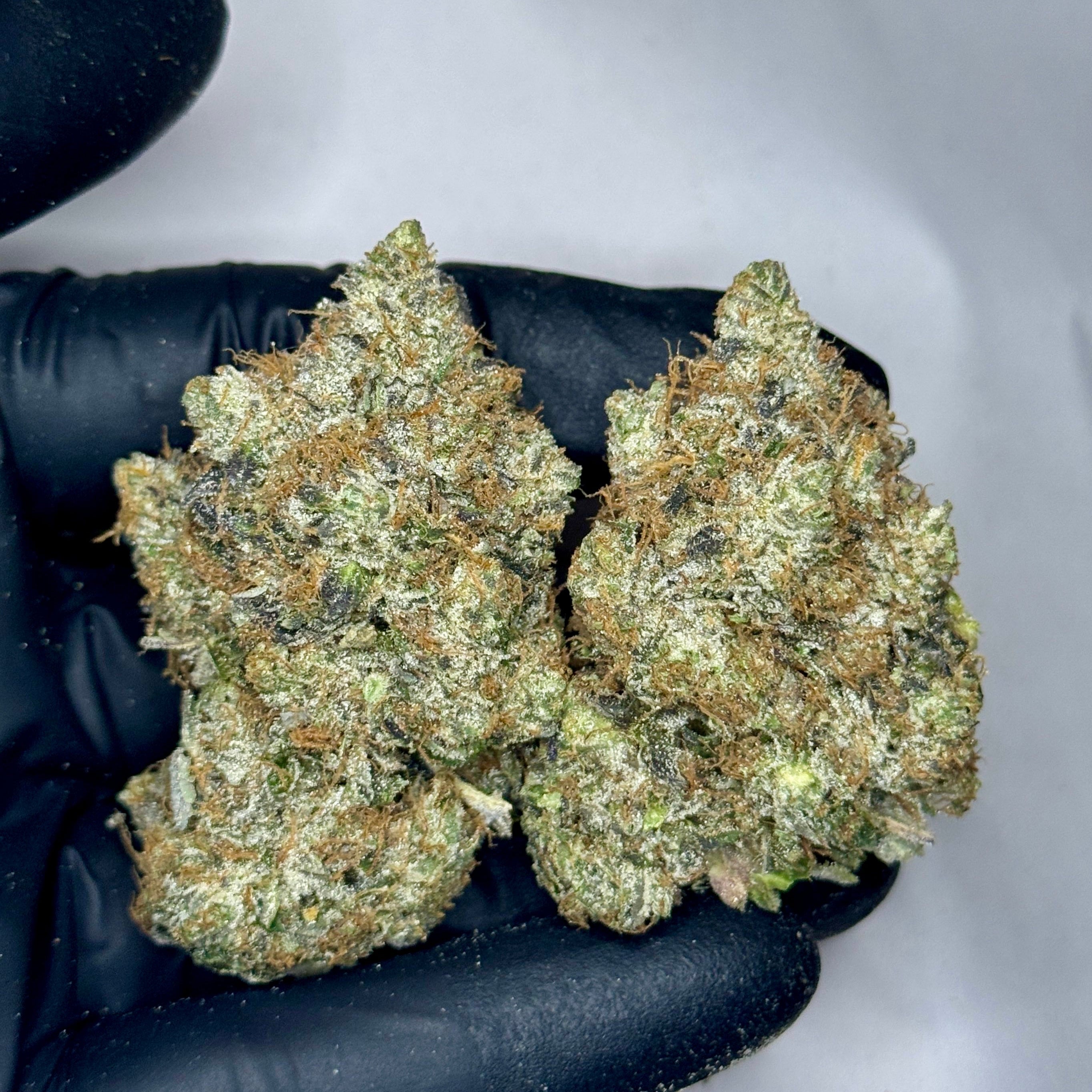Pink Insanity strain AAAA Indica Hybrid – 34% THC – Top Shelf $240/oz – Toronto weed delivery