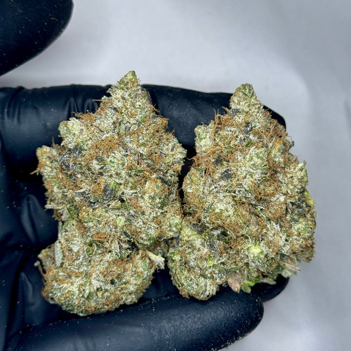 Pink Insanity strain AAAA Indica Hybrid – 34% THC – Top Shelf $240/oz – Toronto weed delivery