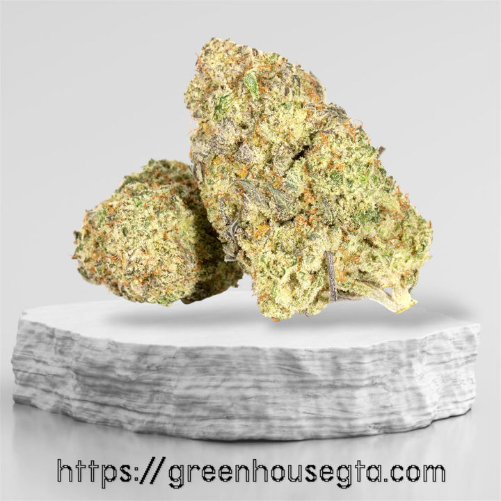 Pink Mango AAA+ Sativa strain 32% THC – premium sweet gas and tropical mango flower from GreenHouseGTA, same-day weed delivery Toronto & GTA