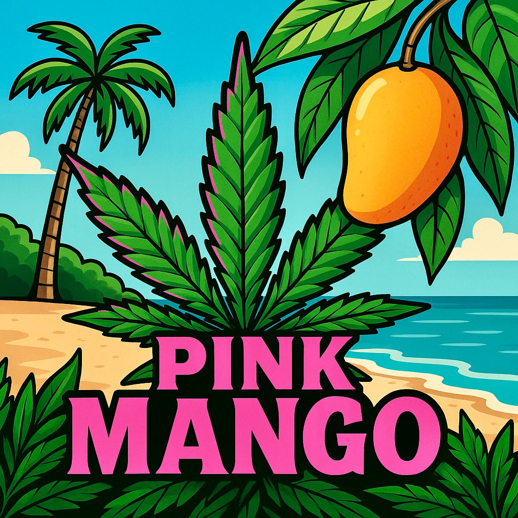 Pink Mango AAA+ Sativa 32% THC – tropical sweet gas cannabis strain artwork with mango and cannabis leaf