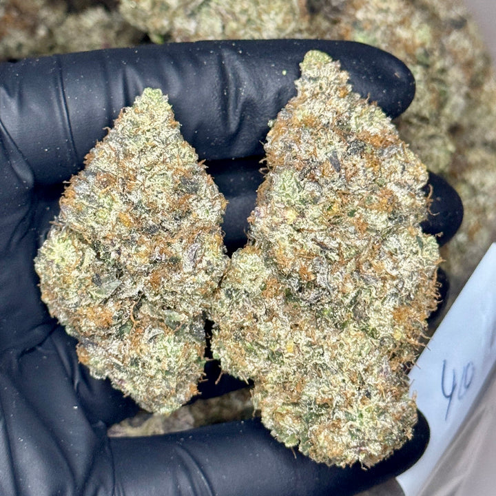 Pink Milano AAAAA Indica 37% THC – Exotic Craft Pink Gas Buds Weed Delivery Toronto & GTA