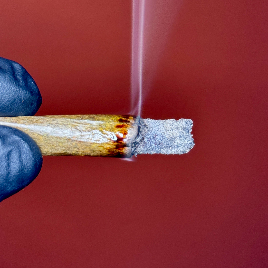 Smoking Pink Milano AAAAA Indica Joint – Exotic Craft Gas 37% THC Weed Toronto Delivery