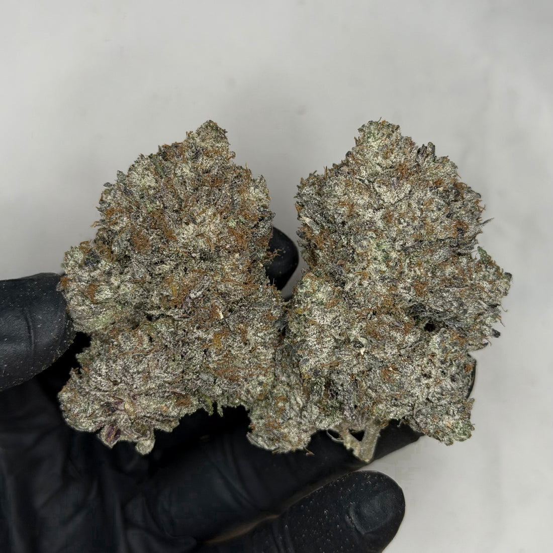 Pink Petrol AAAAA premium fuel gas buds same day weed delivery Toronto