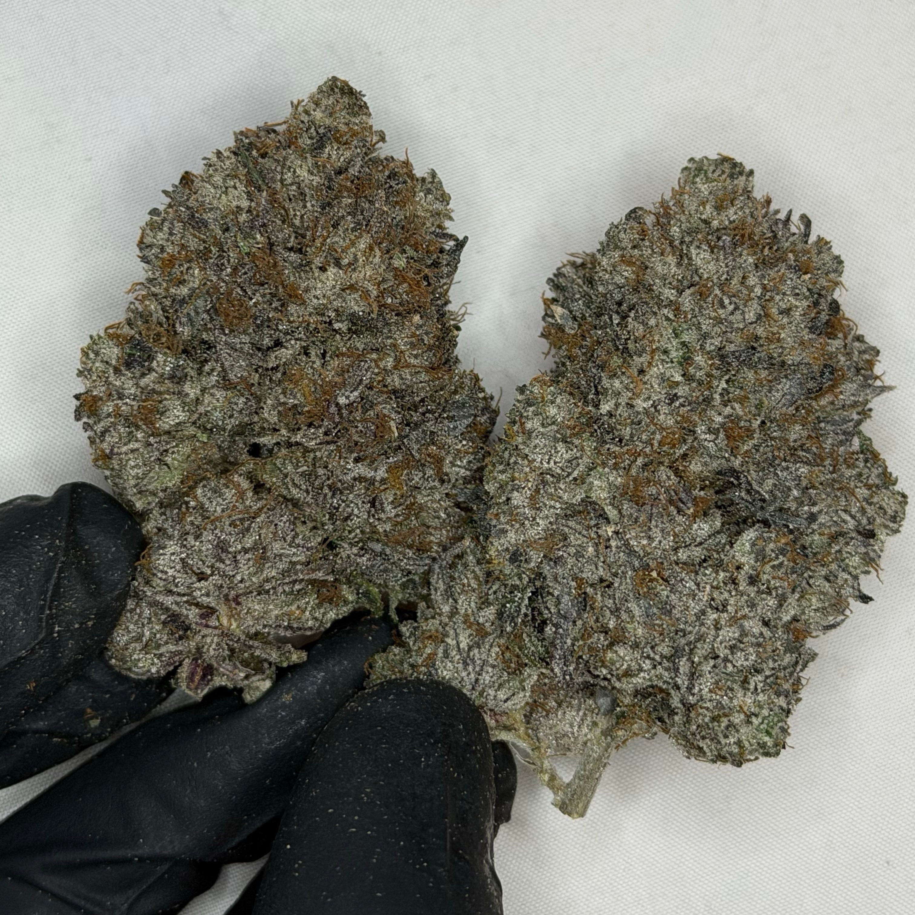 Pink Petrol AAAAA Indica heavy diesel gas flower 38 percent THC weed delivery Toronto