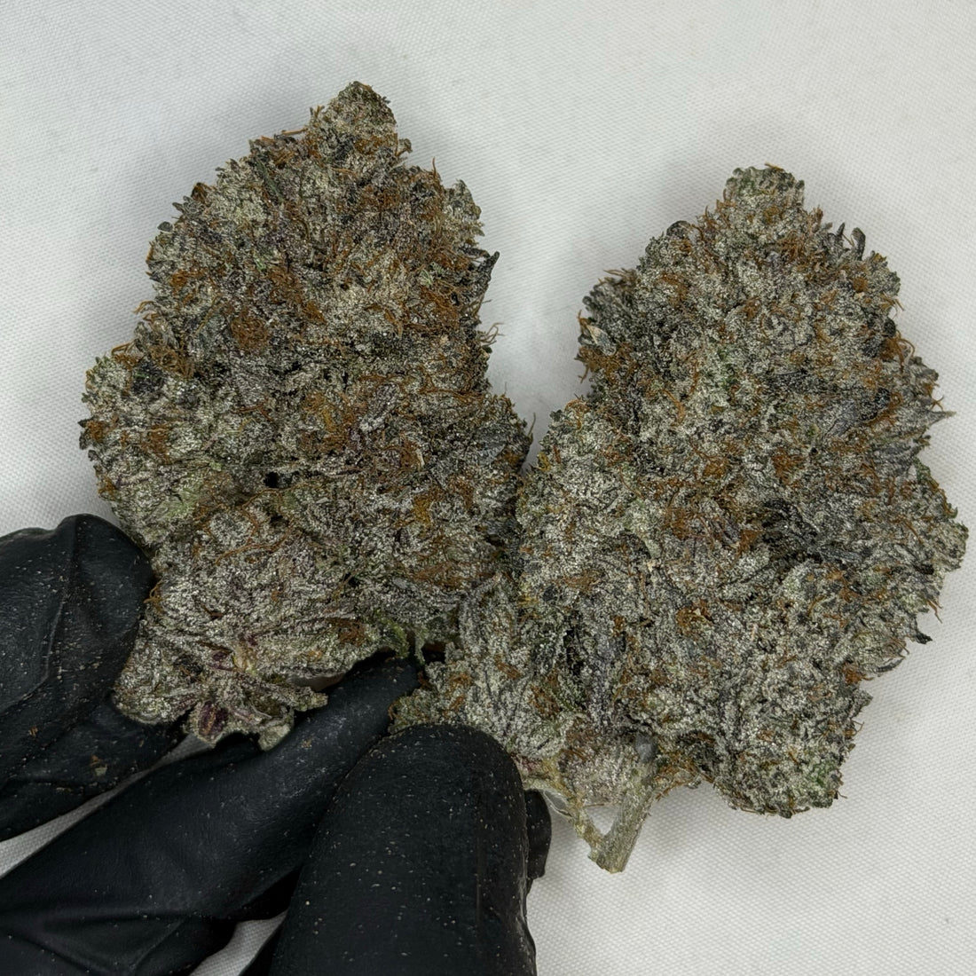 Pink Petrol AAAAA Indica heavy diesel gas flower 38 percent THC weed delivery Toronto
