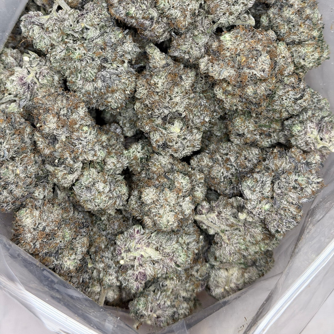 Pink Petrol frosty trichome covered indica flower premium cannabis Toronto