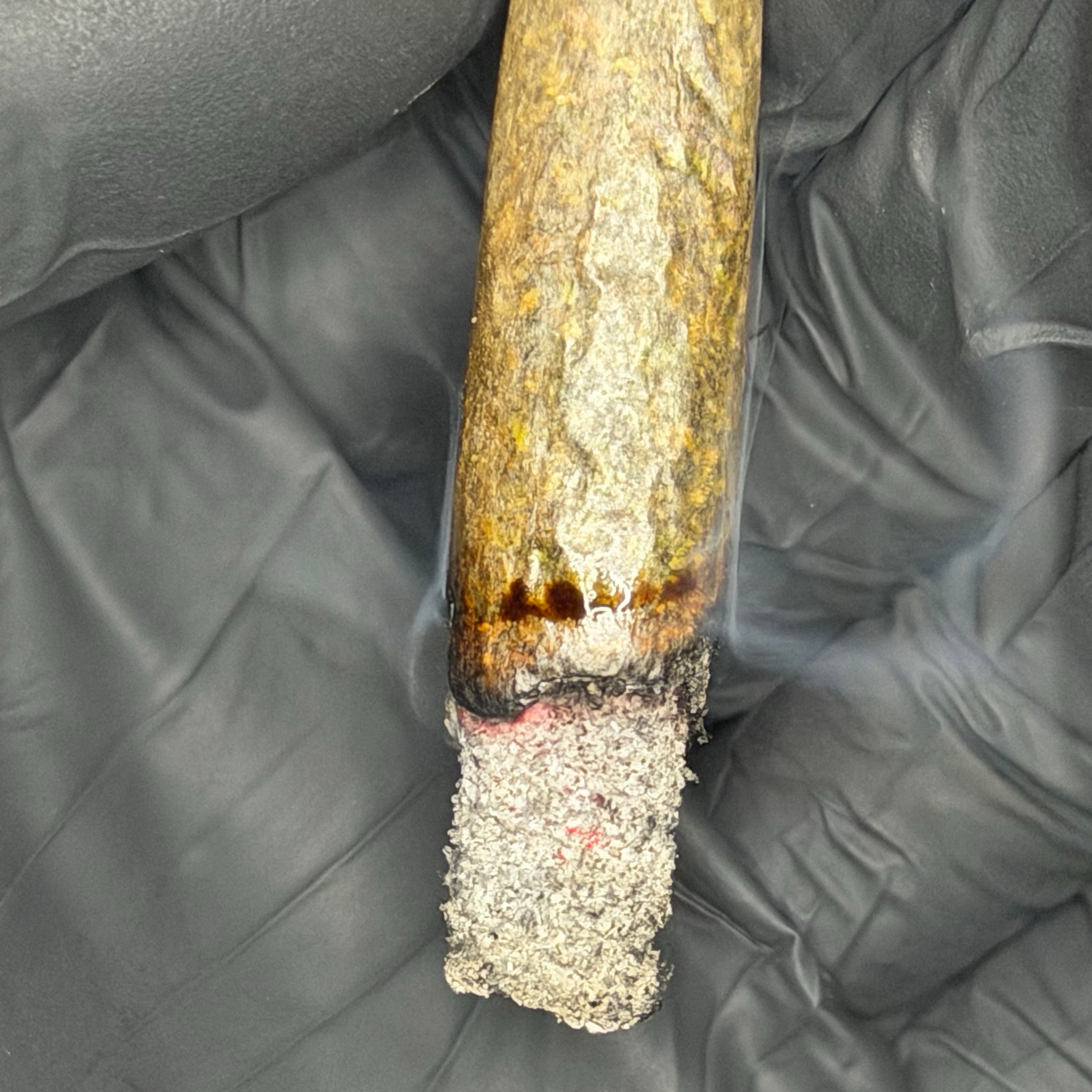 Pink Petrol clean burn white ash AAAAA indica weed Toronto