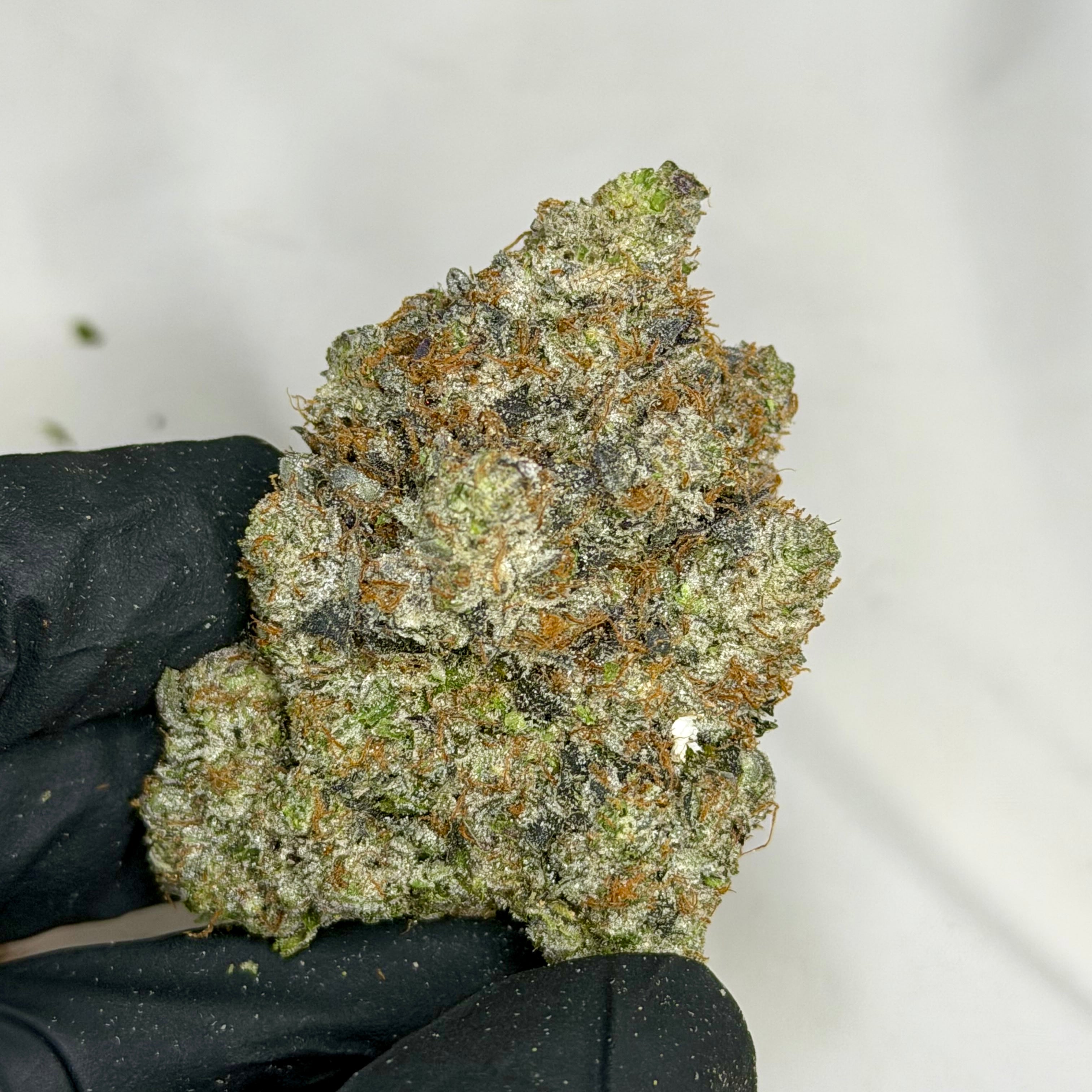 Pink Rolex super quads indica showing heavy trichomes and clean top-shelf structure