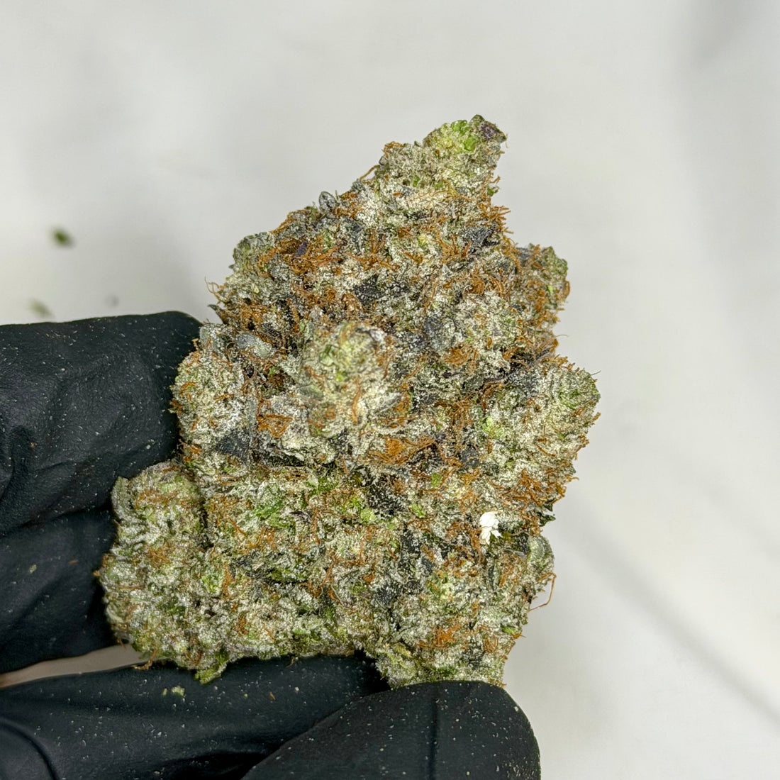 Pink Rolex super quads indica showing heavy trichomes and clean top-shelf structure