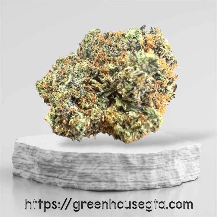 Pink Runtz AAA+ Indica-dominant hybrid cannabis bud – premium gas strain available for same-day weed delivery in Toronto GTA