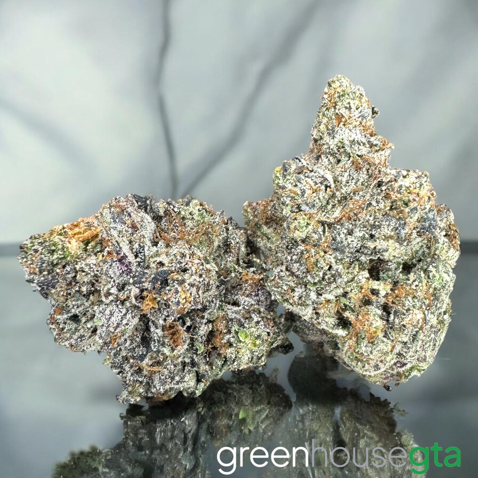 Pink Super Goo AAAA Hybrid sticky pink gas flower 32 percent THC weed delivery Toronto