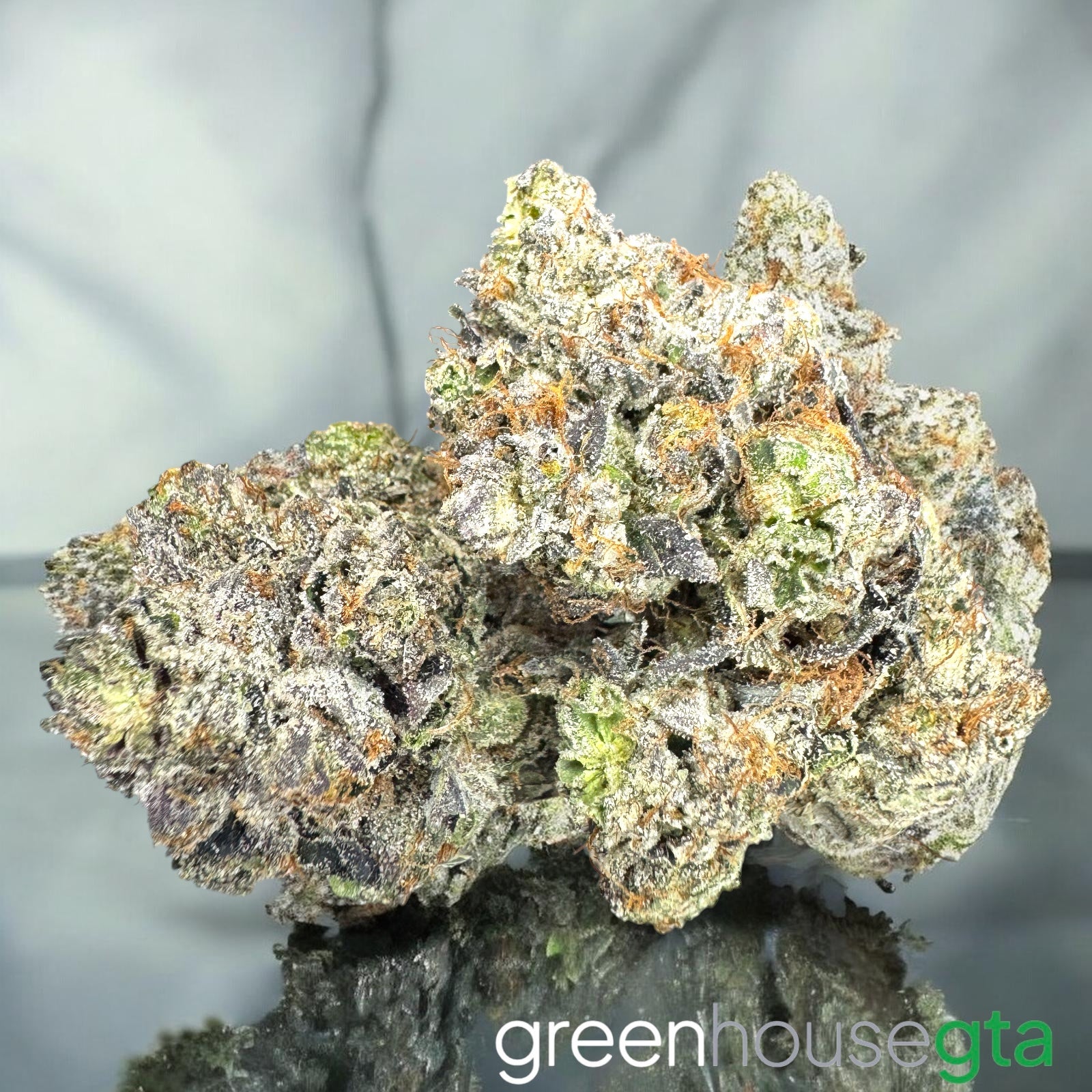 Pink Super Goo premium AAAA hybrid resin rich pink gas bud Toronto weed delivery