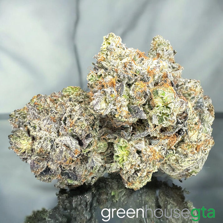 Pink Super Goo premium AAAA hybrid resin rich pink gas bud Toronto weed delivery