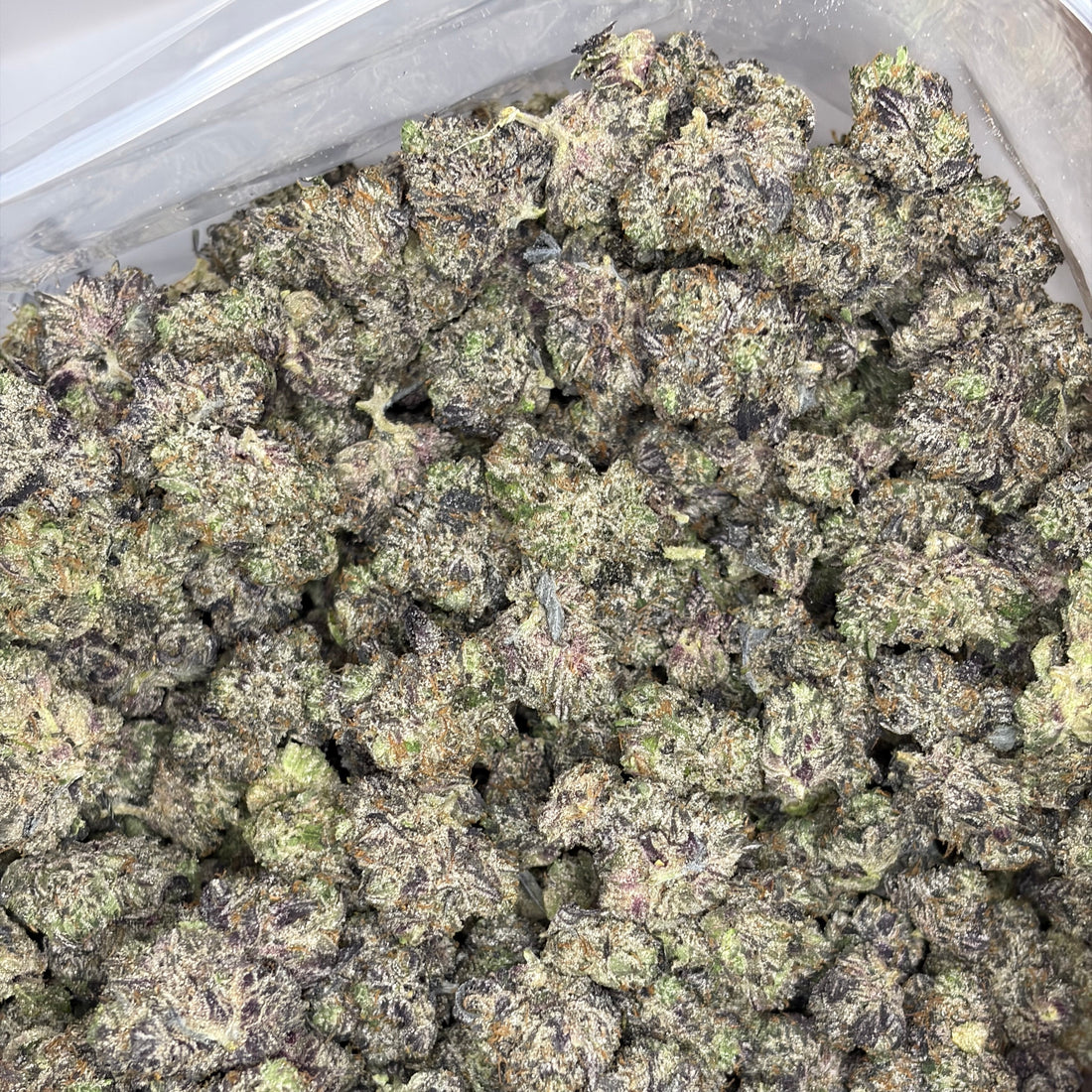 Pink CEO Popcorn buds – dense frosty Indica small buds with pink gas and sweet dough aroma, premium weed delivery Toronto GTA