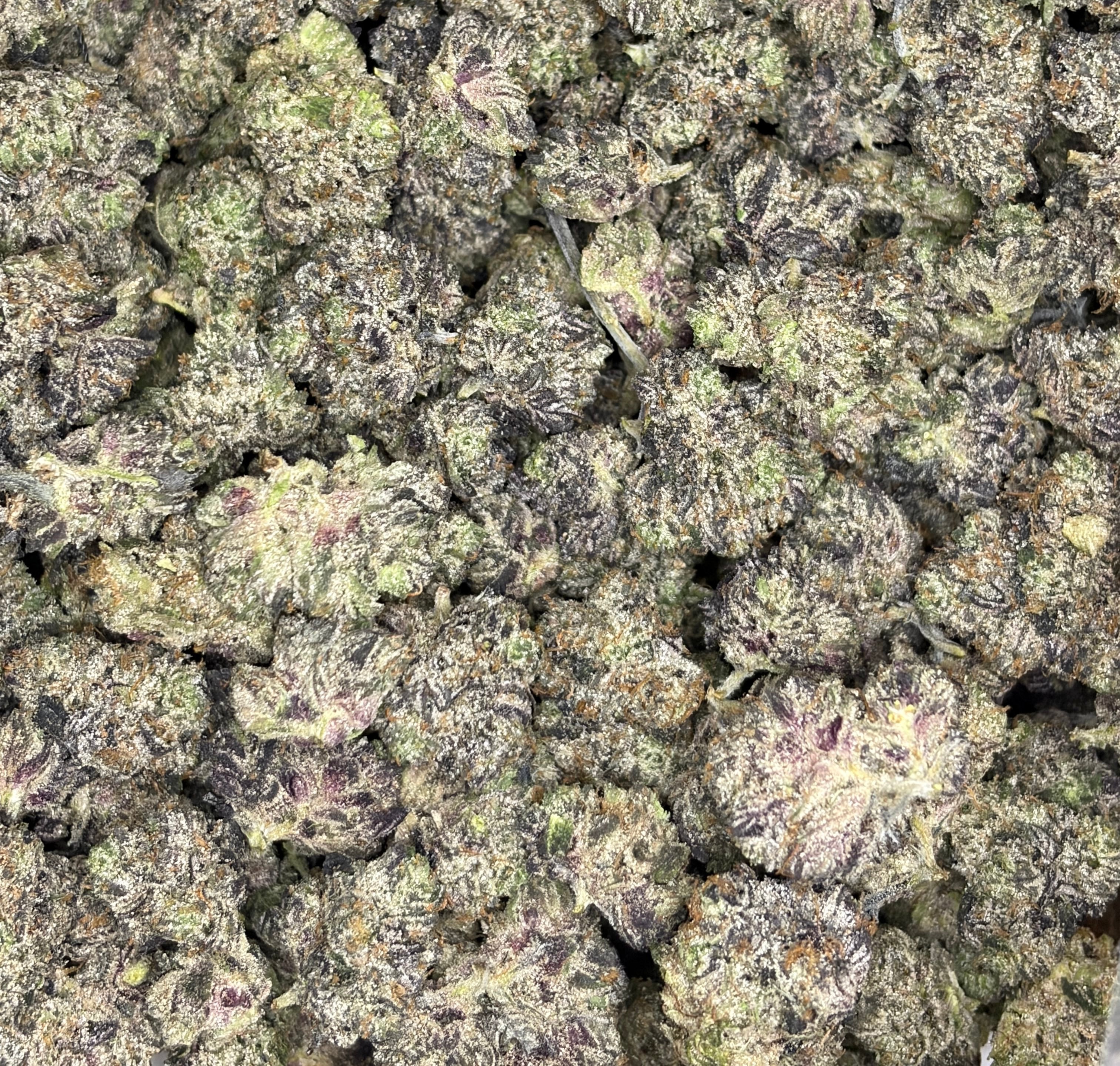 Pink CEO Popcorn Indica – small-batch Living Soil Organic buds, sweet gas and diesel flavor, weed delivery Toronto & GTA