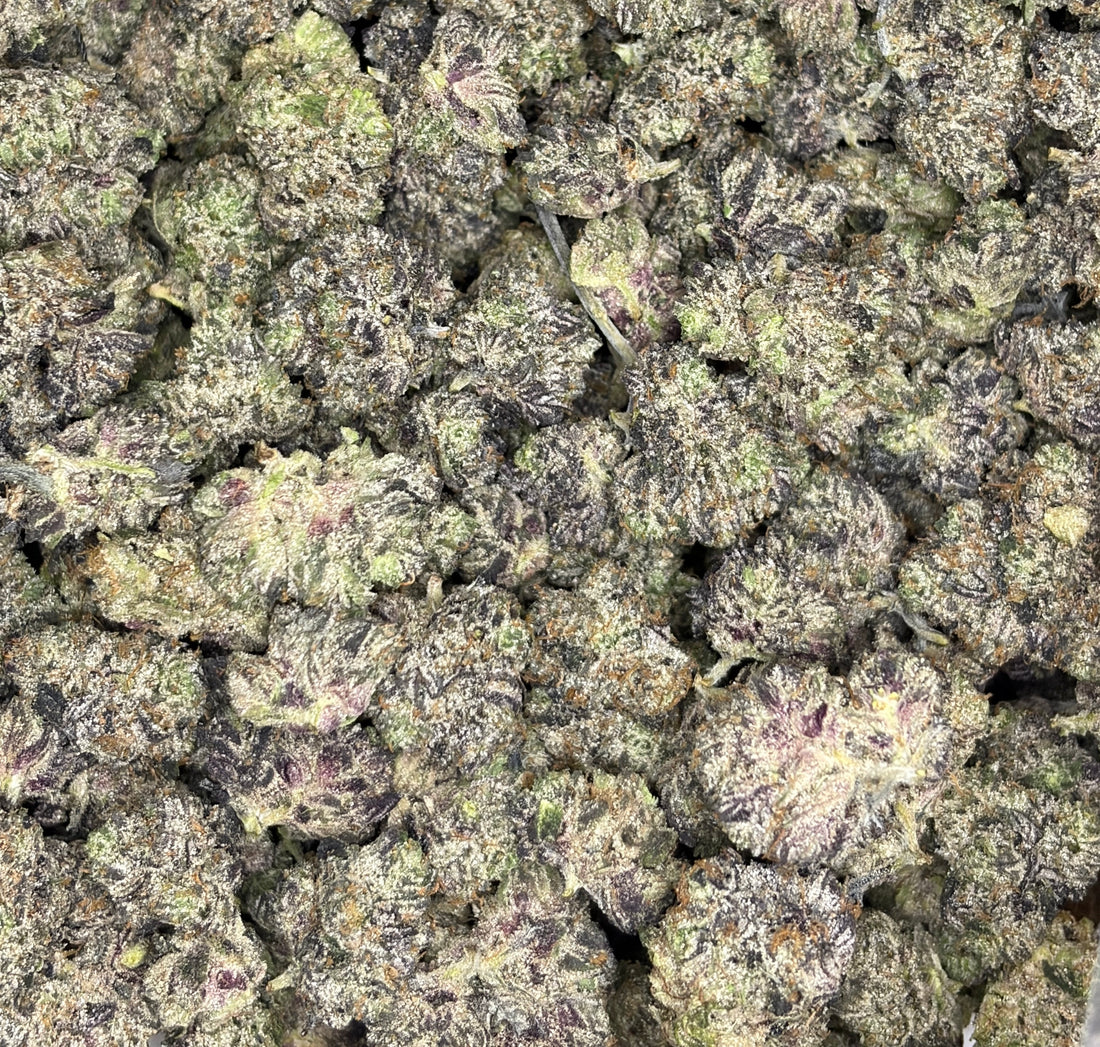 Pink CEO Popcorn Indica – small-batch Living Soil Organic buds, sweet gas and diesel flavor, weed delivery Toronto & GTA
