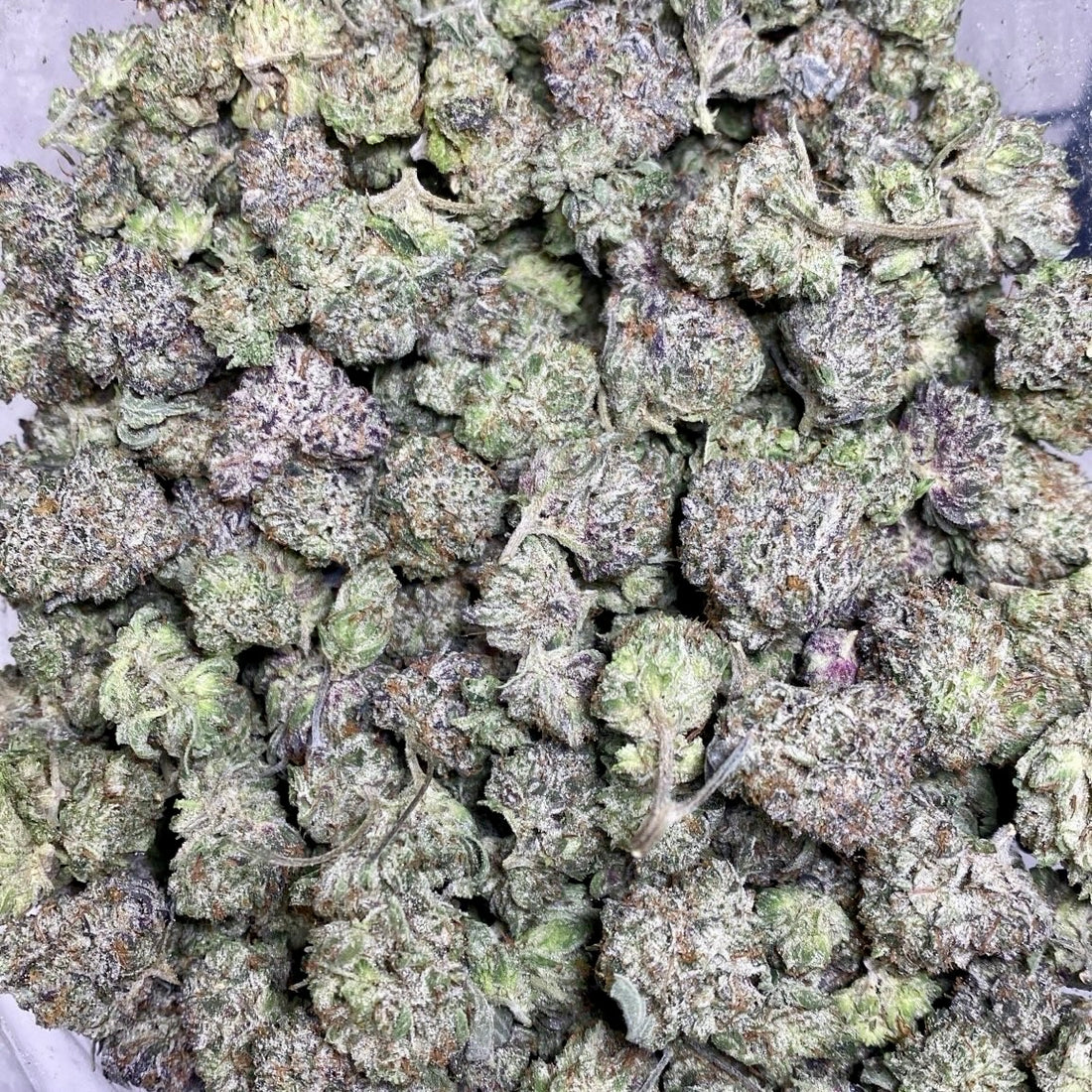 Pink CEO Popcorn buds – dense frosty Indica small buds with pink gas and sweet dough aroma, premium weed delivery Toronto GTA