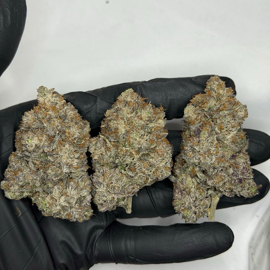 Pink Collector's Cut AAAAA Indica hand-trimmed large purple buds with heavy trichomes
