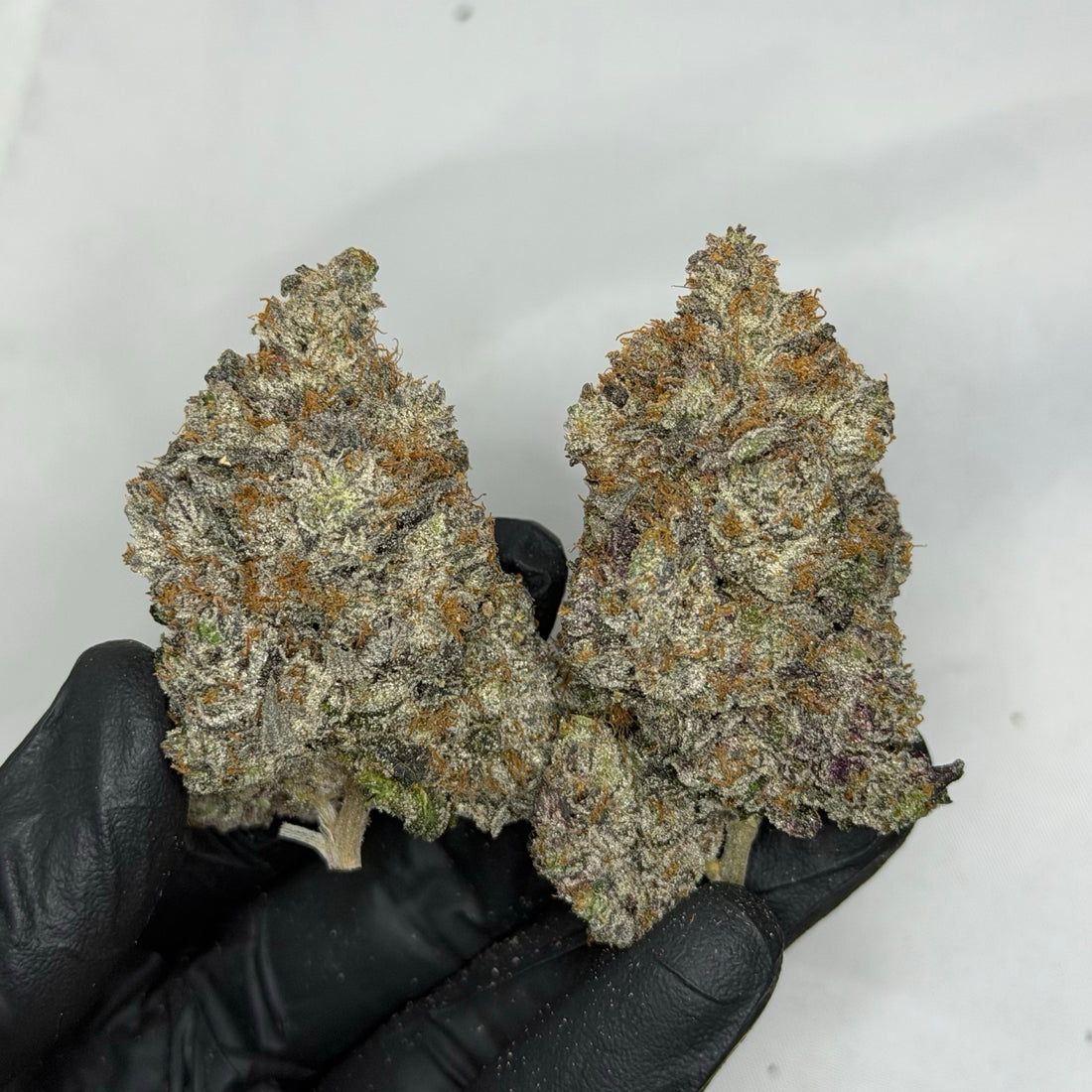 Pink Collector's Cut AAAAA Indica 39% THC large dense purple buds premium craft cannabis Toronto