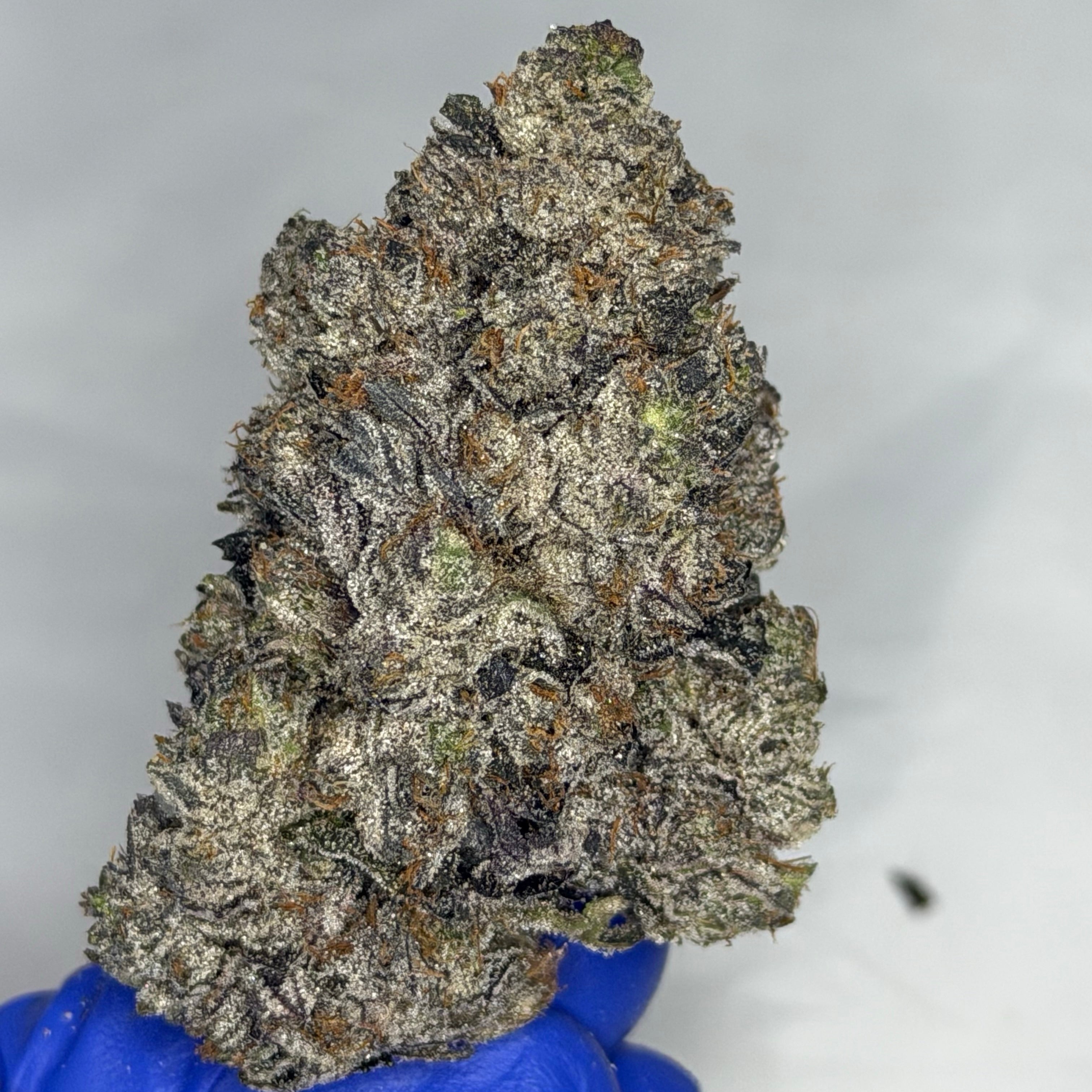 Pink Death Row ☠️ ALL PRODUCTS FLOWERS INDICA