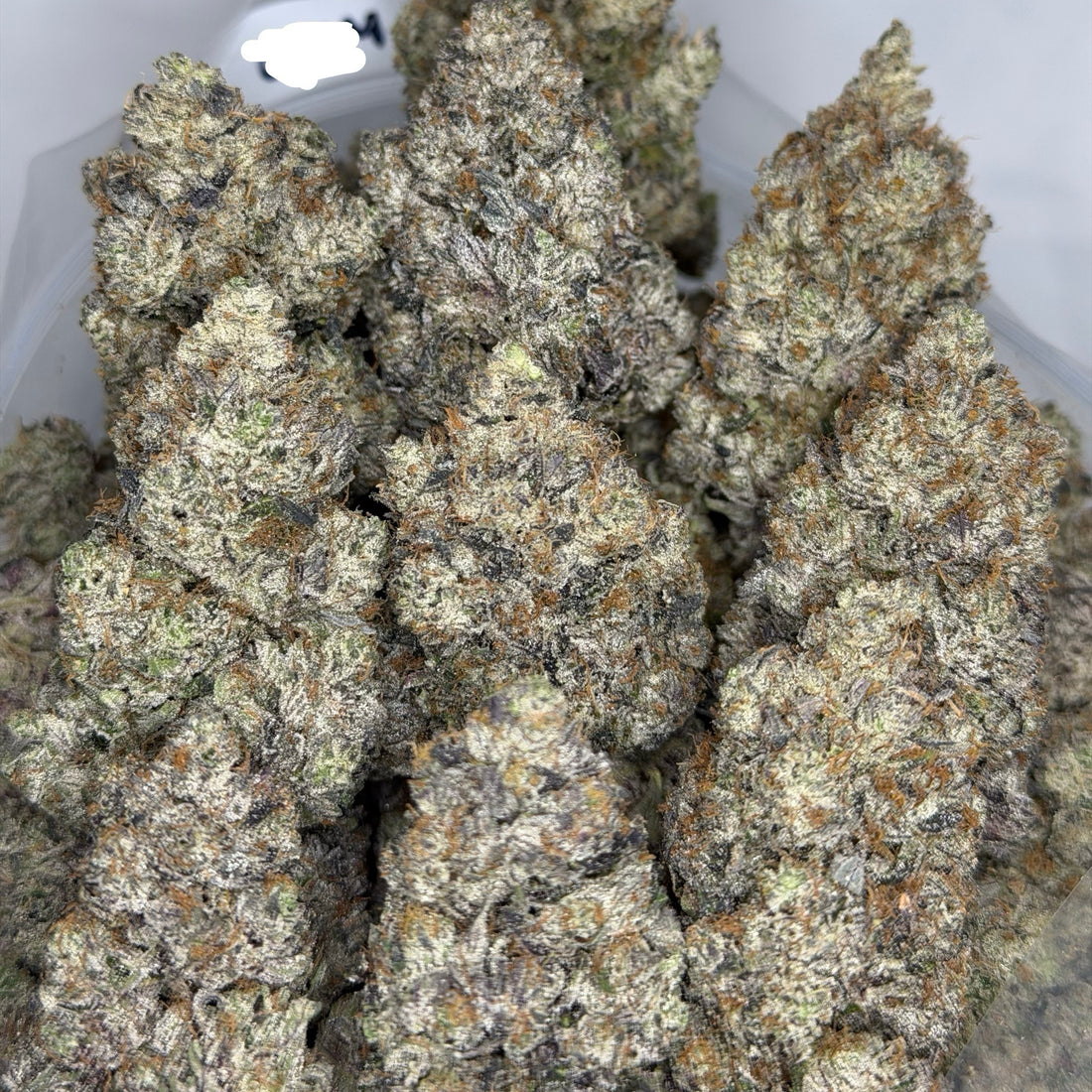 Pink Death Row ☠️ ALL PRODUCTS FLOWERS INDICA