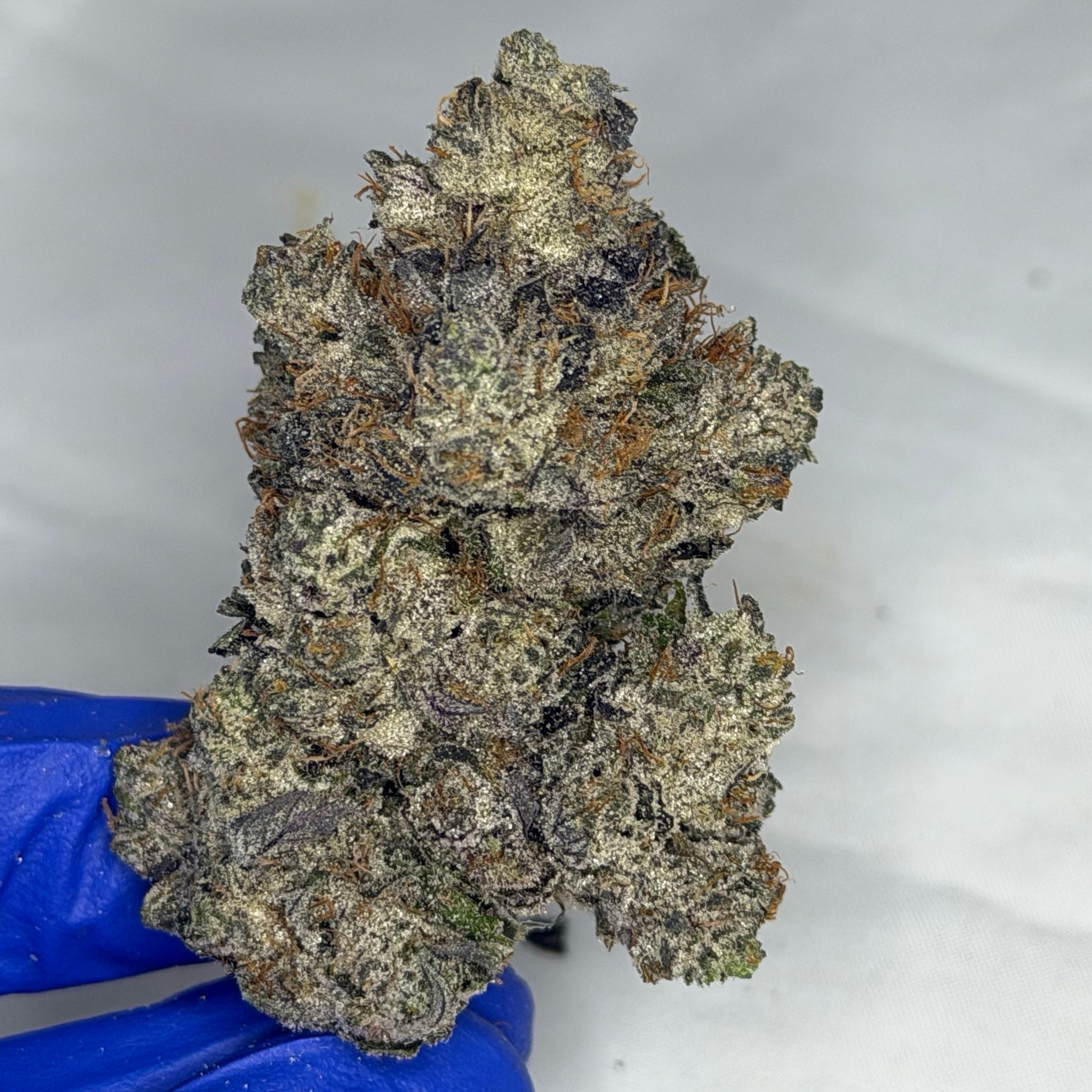 Pink Death Row ☠️ ALL PRODUCTS FLOWERS INDICA