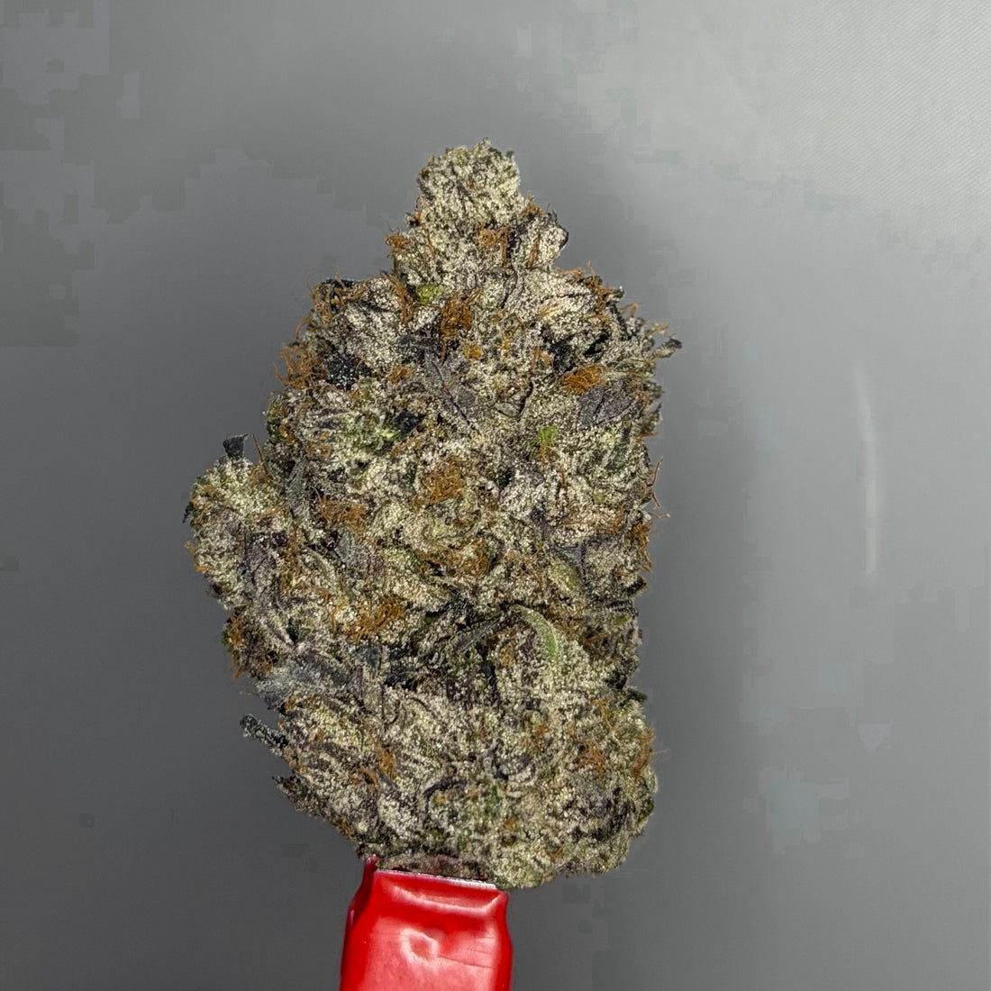 Pink Dopamine AAAAA Indica 39% THC bud | GreenHouseGTA Toronto
