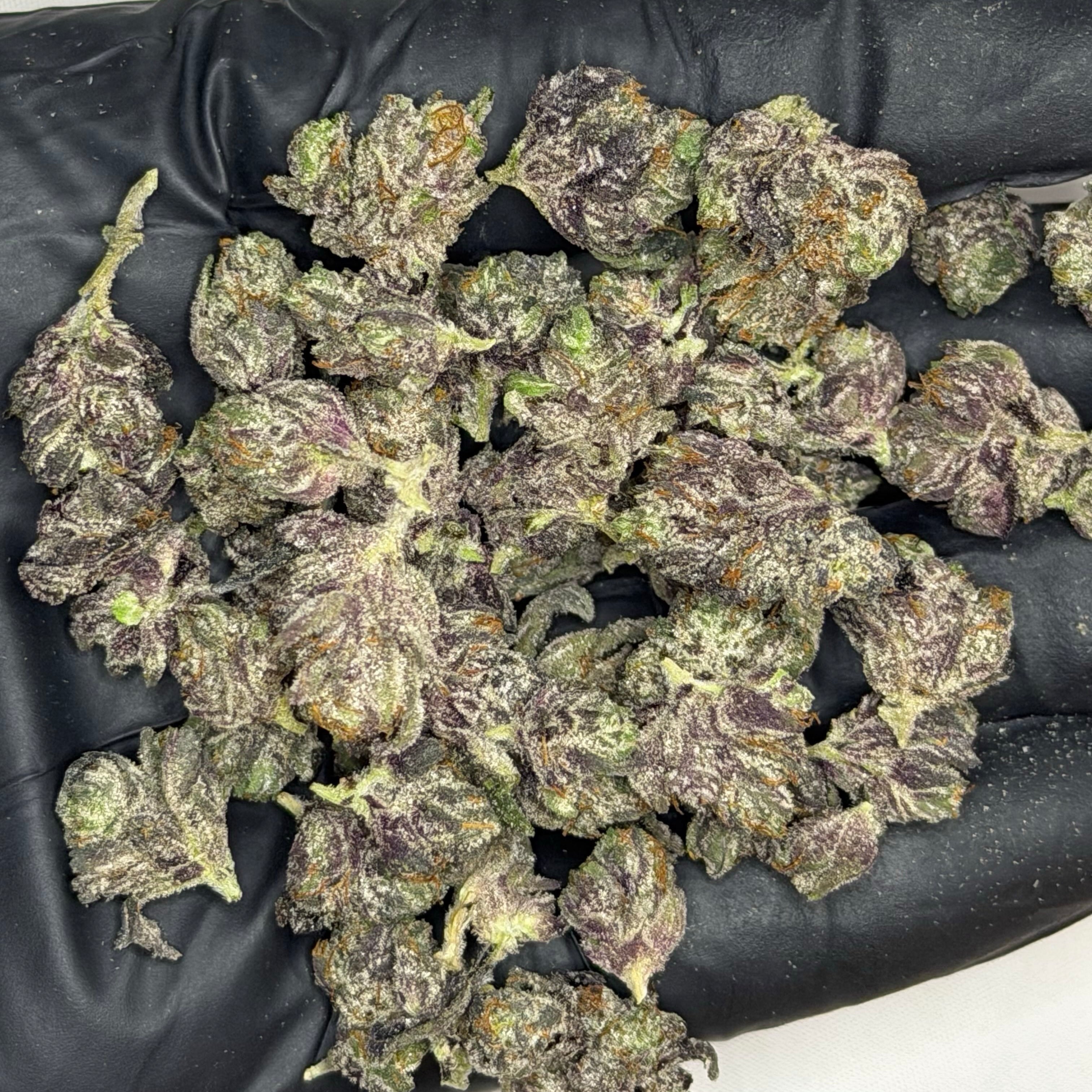 Pink Fallout LSO Popcorn AAAAA Indica small purple buds – Toronto weed delivery