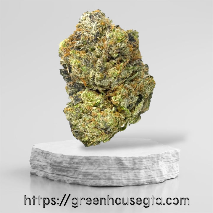 Pink Gushers AAAA Indica 32% THC cannabis bud – premium diesel pine flavour – Toronto weed delivery GTA