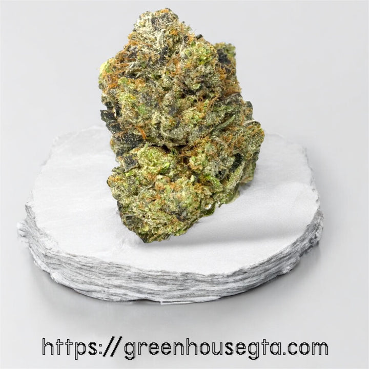 Pink Gushers AAAA Indica 32% THC cannabis bud – premium diesel pine flavour – Toronto weed delivery GTA
