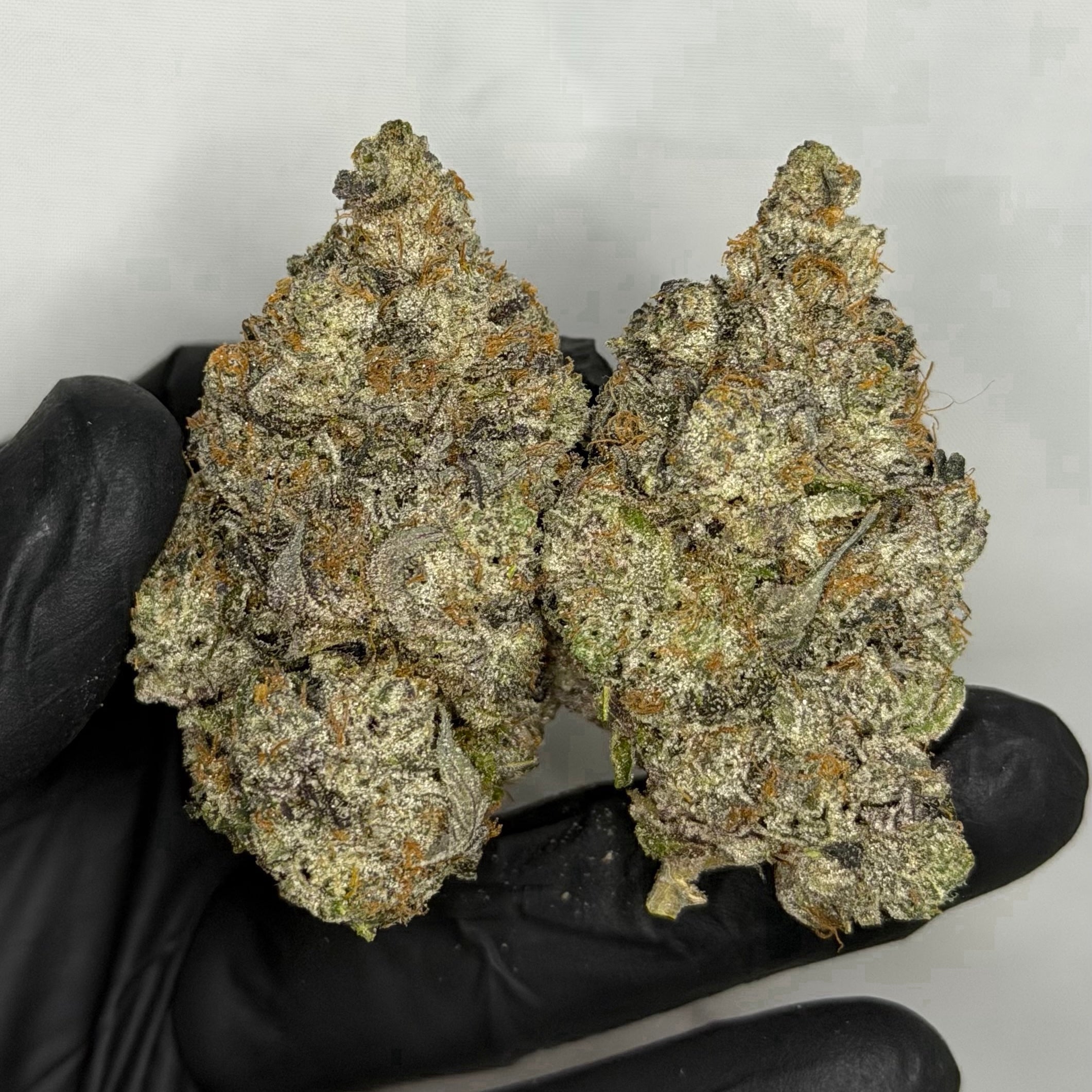 Pink Kush Supreme ALL PRODUCTS FLOWERS INDICA