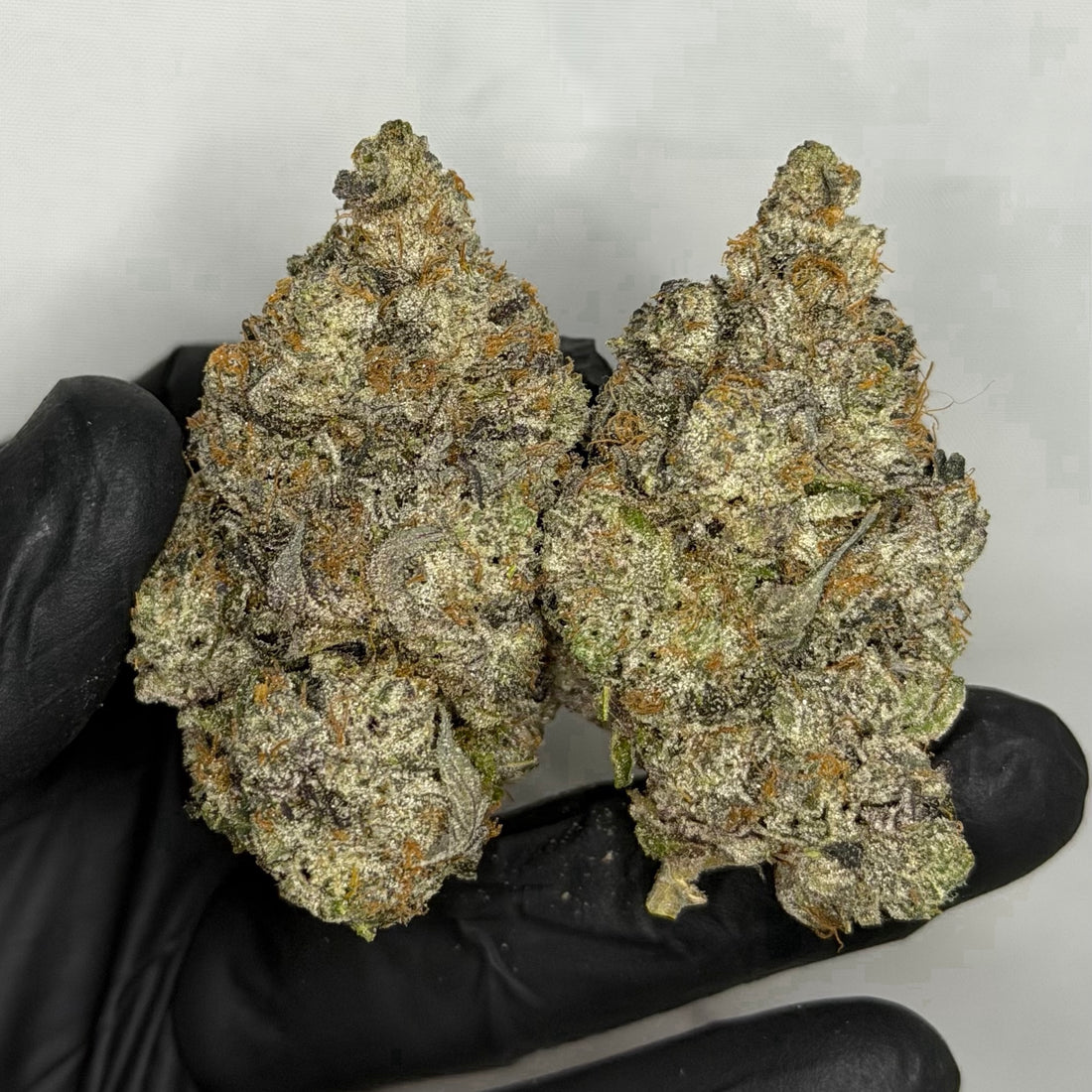 Pink Kush Supreme ALL PRODUCTS FLOWERS INDICA