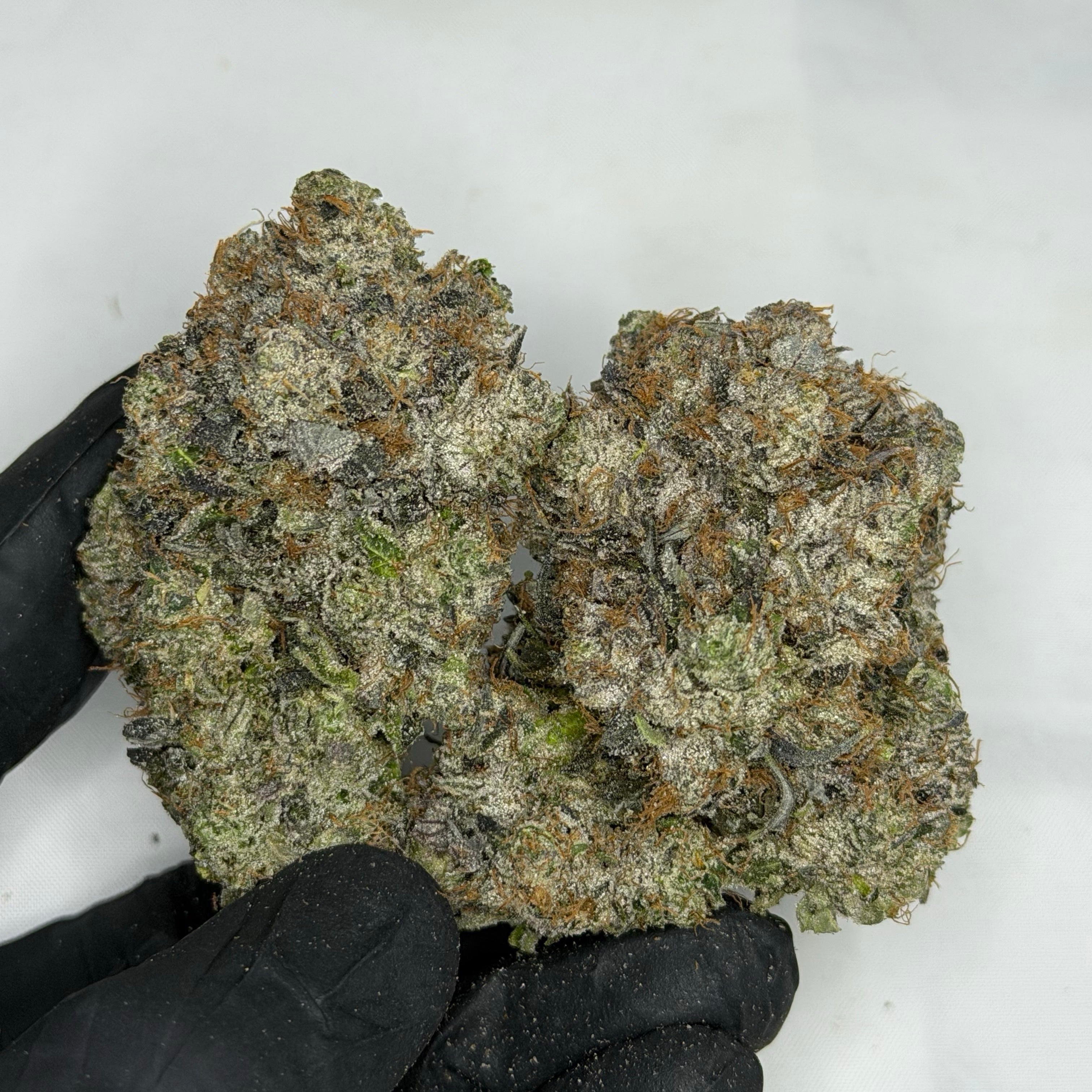 Pink Monarch LSO AAAAA Indica hand-trimmed purple buds with heavy trichomes Living Soil Organic flower