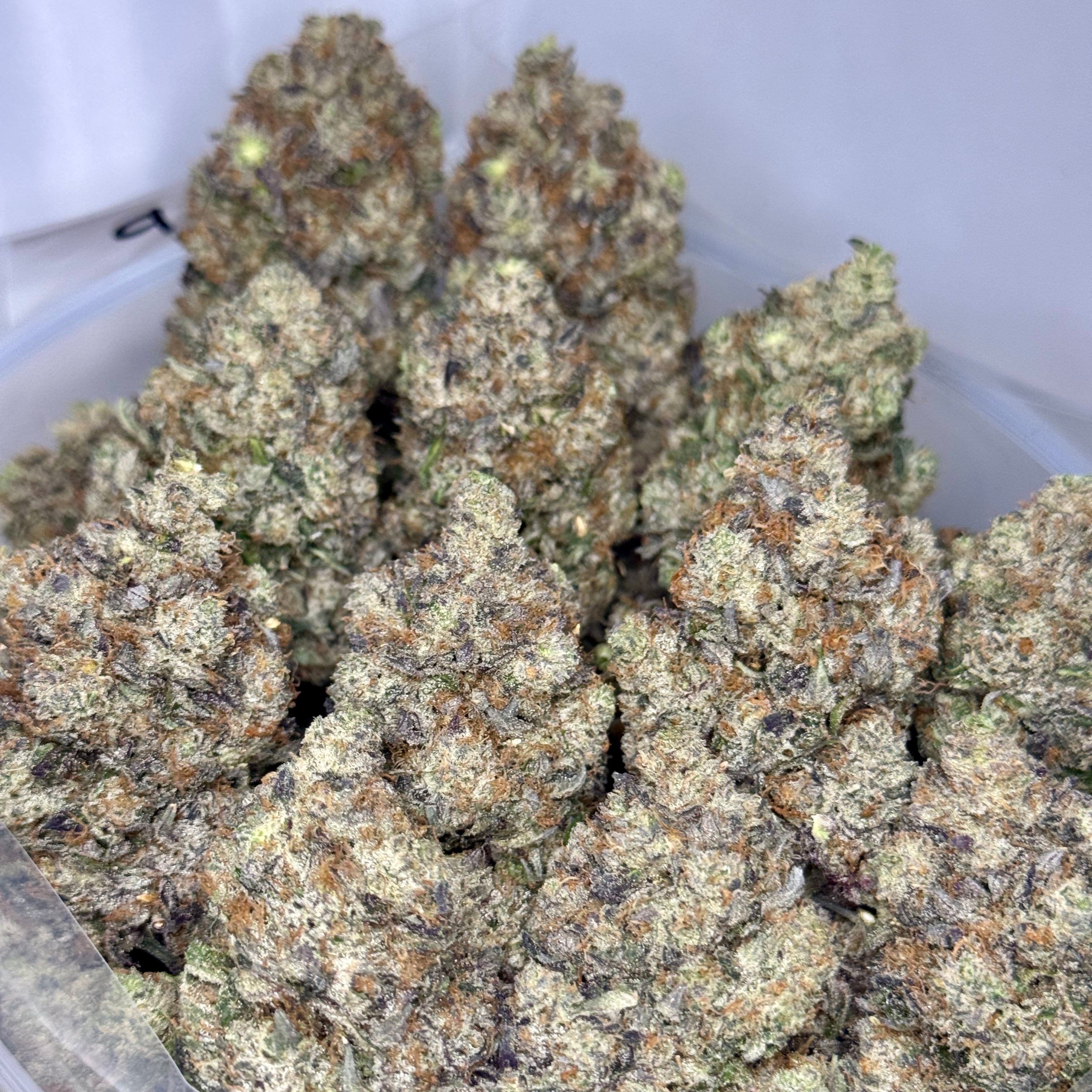 Pink Pennywise AAAAA Indica 37% THC – dense gas buds with purple frost – Toronto weed delivery