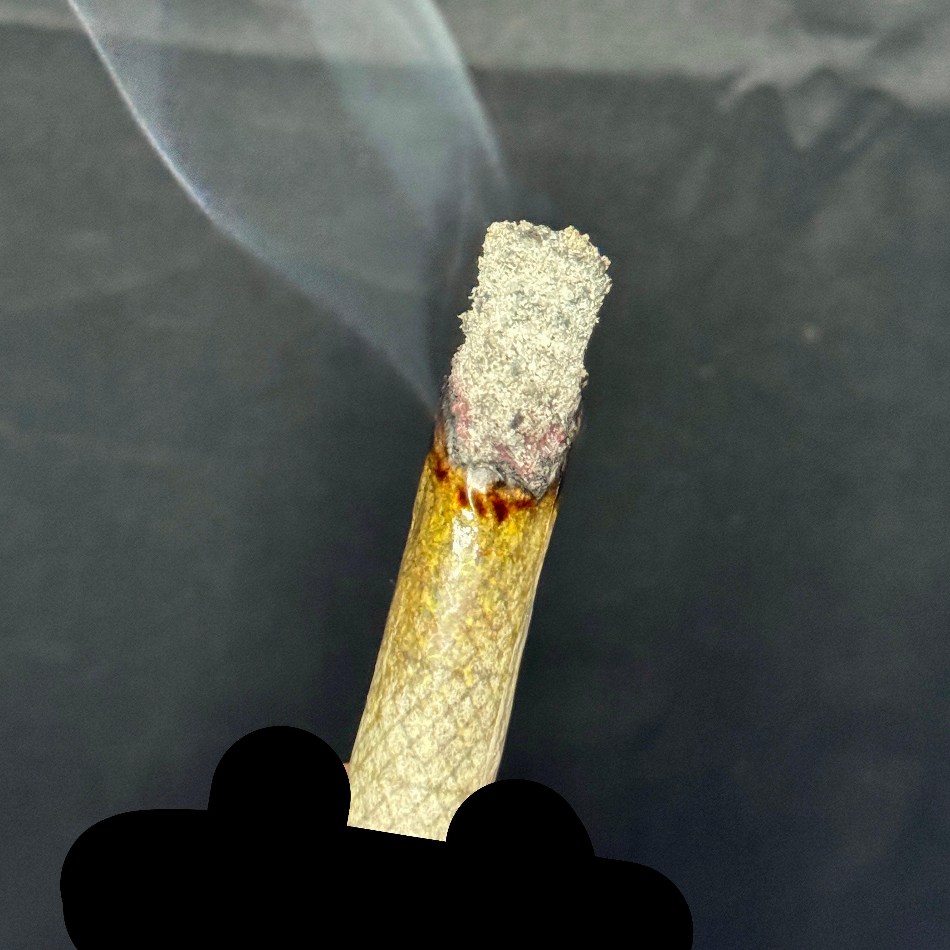 Pink Pennywise strain joint burning with white ash – heavy gas indica – same-day weed delivery GTA