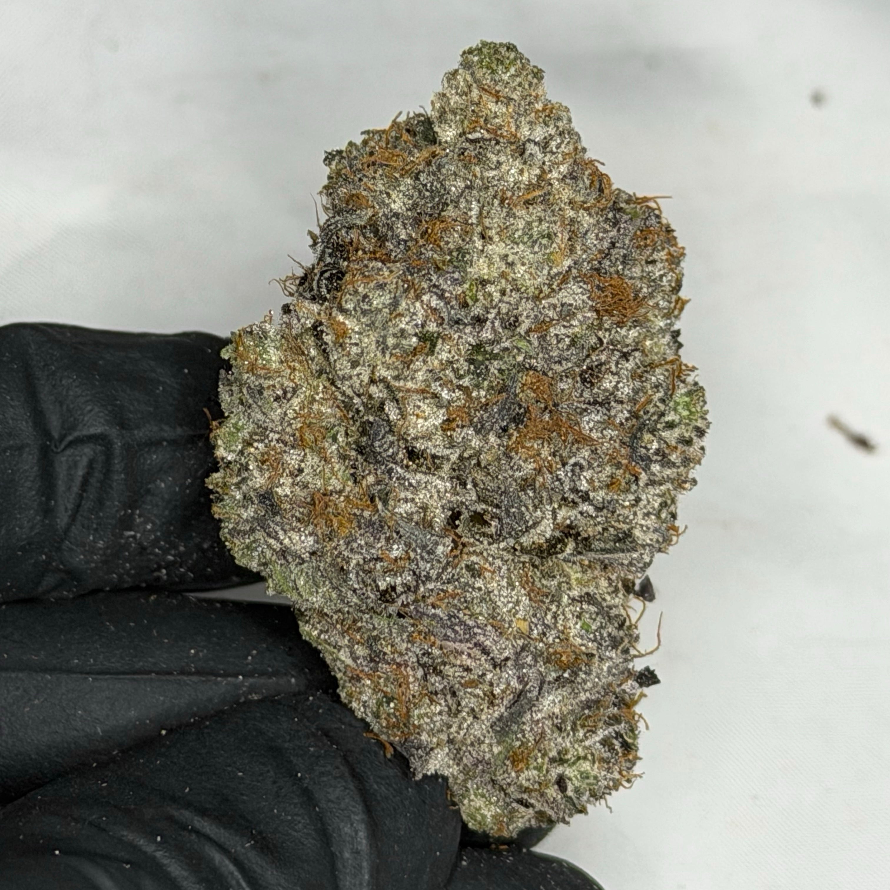 Pink Rockstar LSO ALL PRODUCTS FLOWERS INDICA